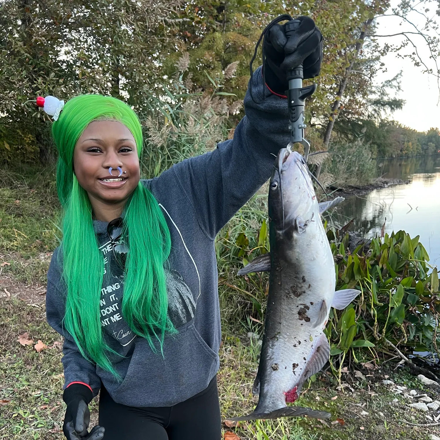Channel catfish caught on Fishbrain