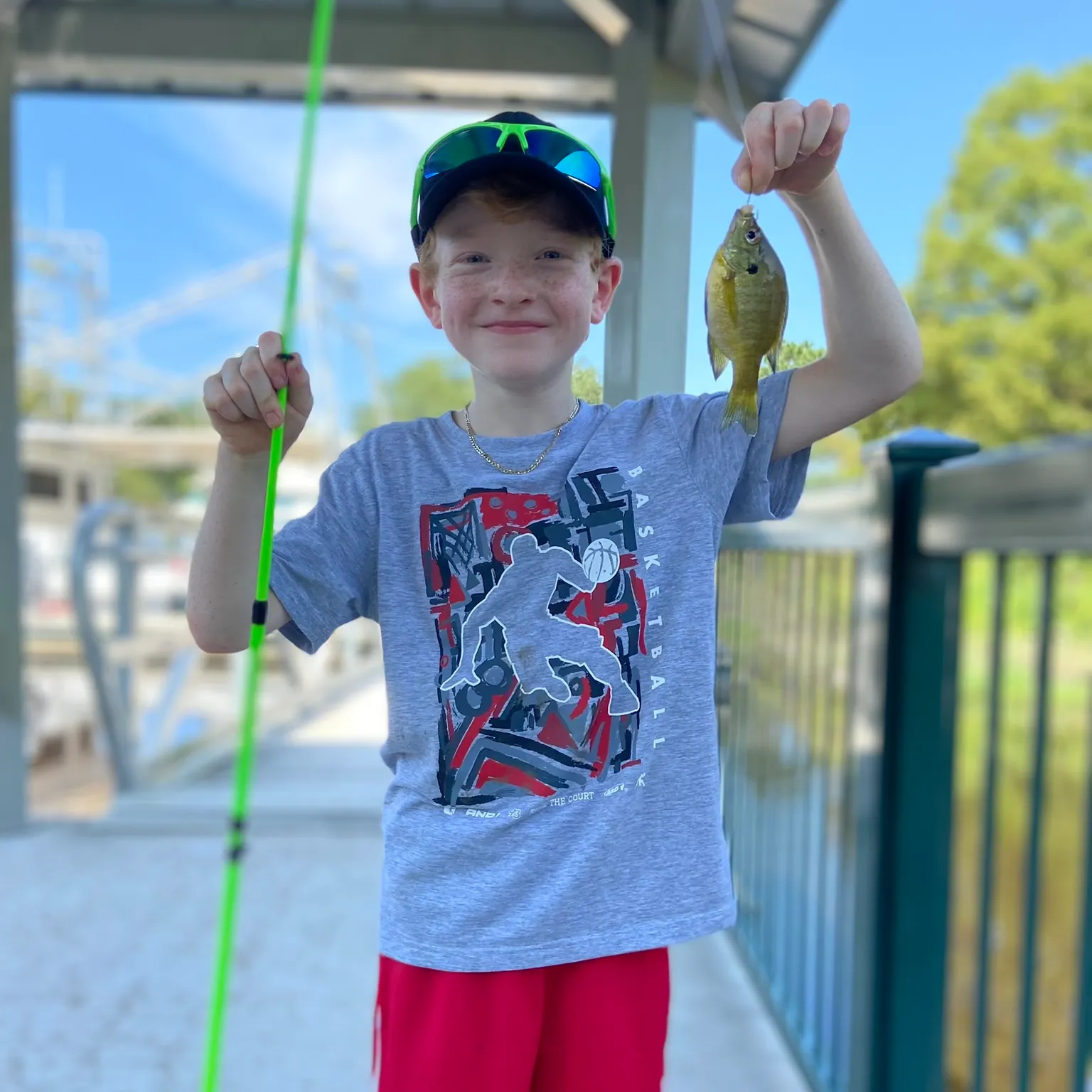 The most recent Bluegill catches on Fishbrain