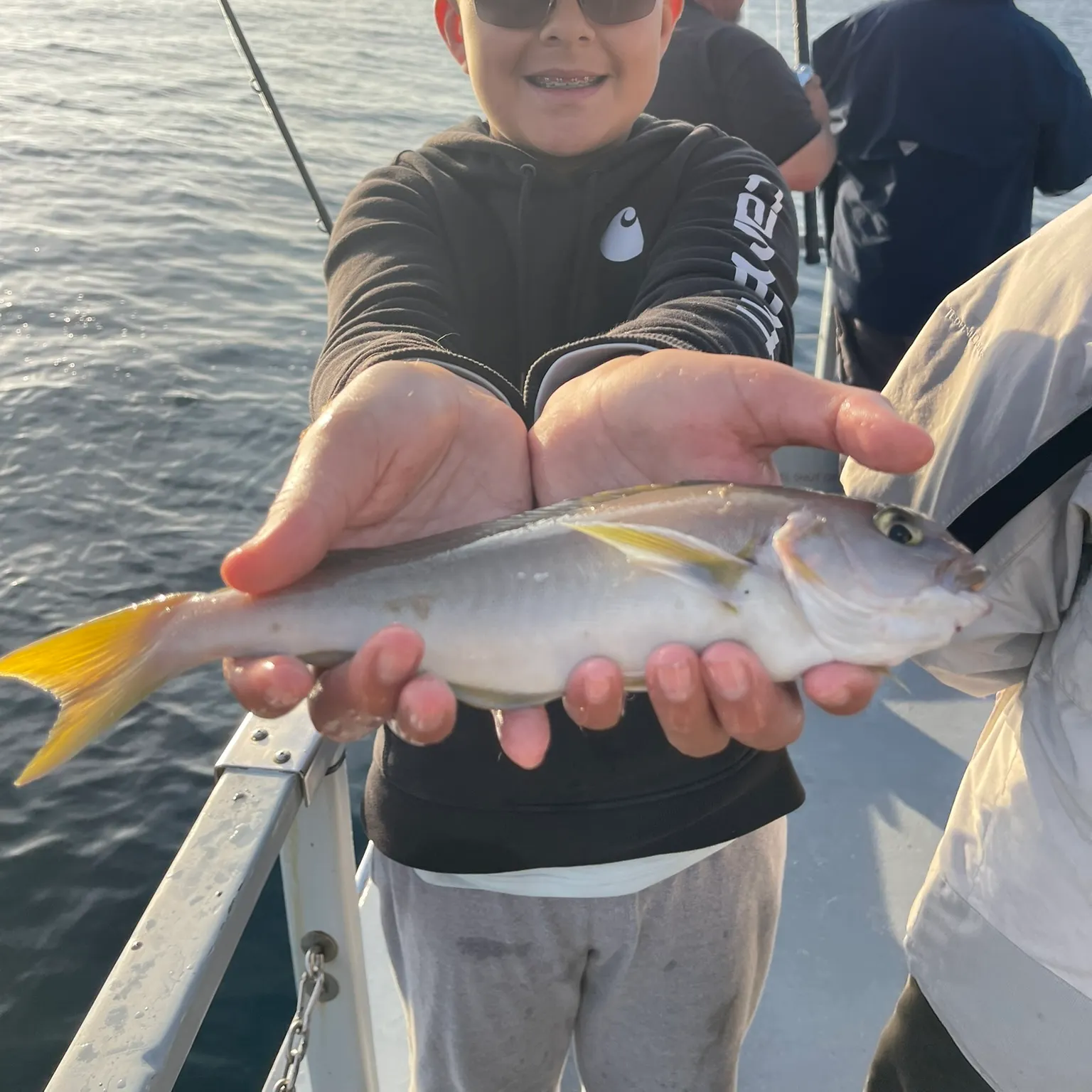 The most recent Mountain whitefish catches on Fishbrain