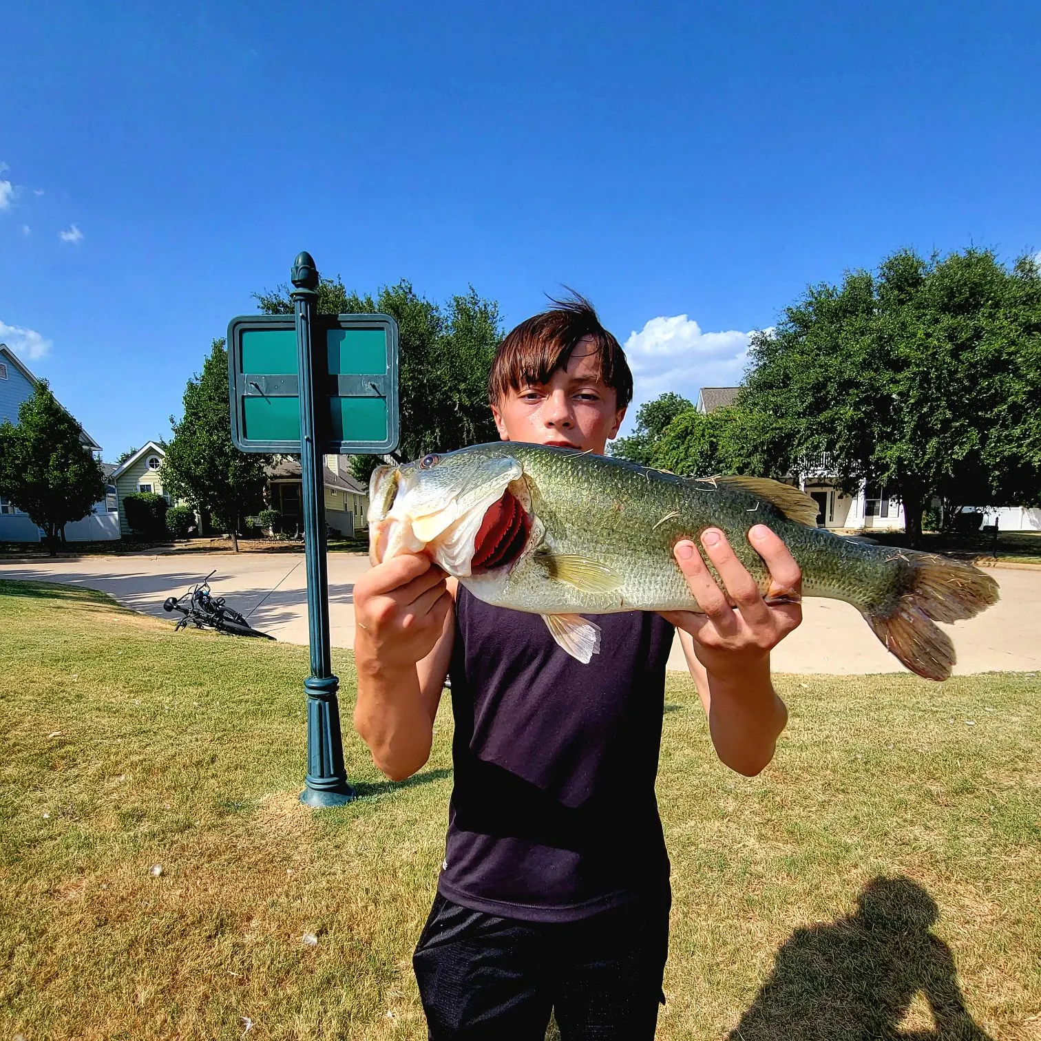 Largemouth bass caught on Fishbrain