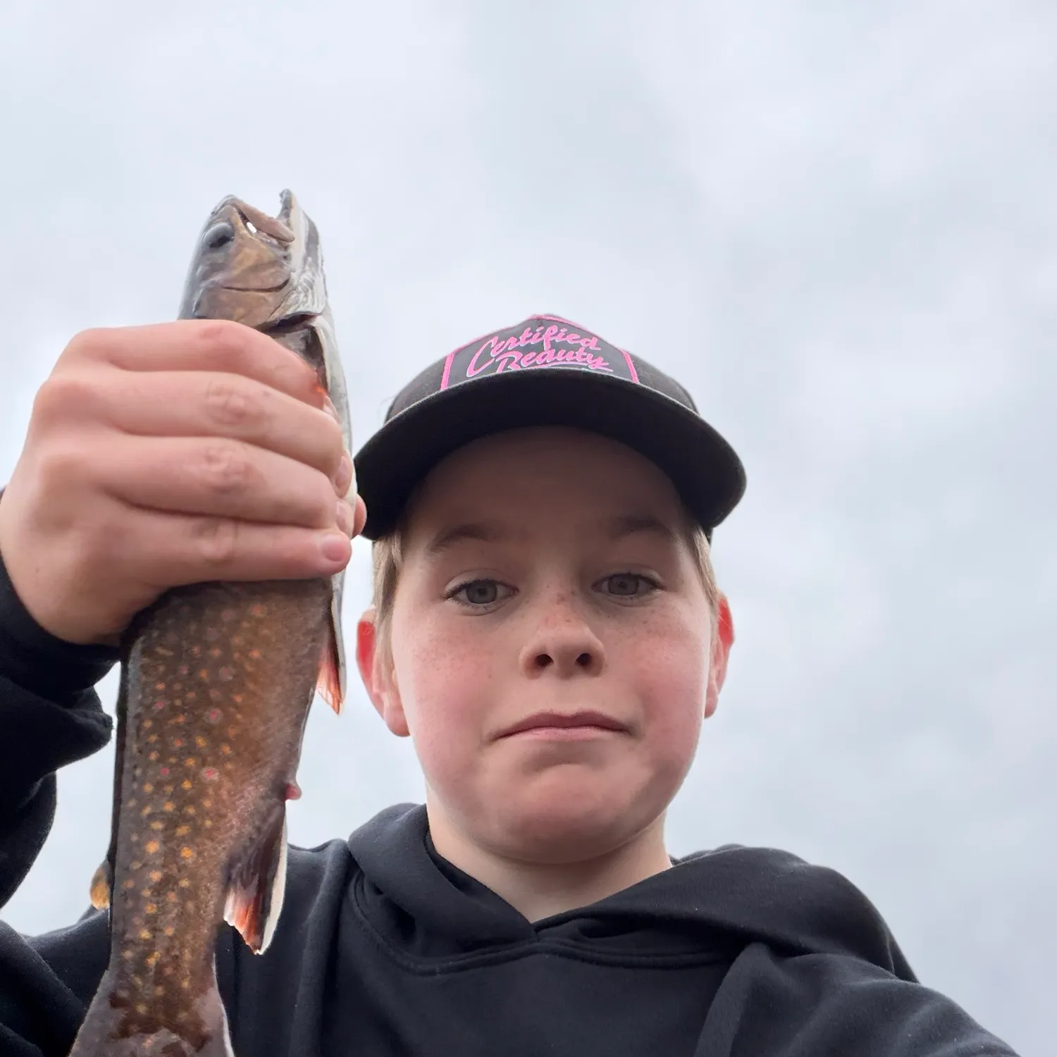 Brook trout caught on Fishbrain
