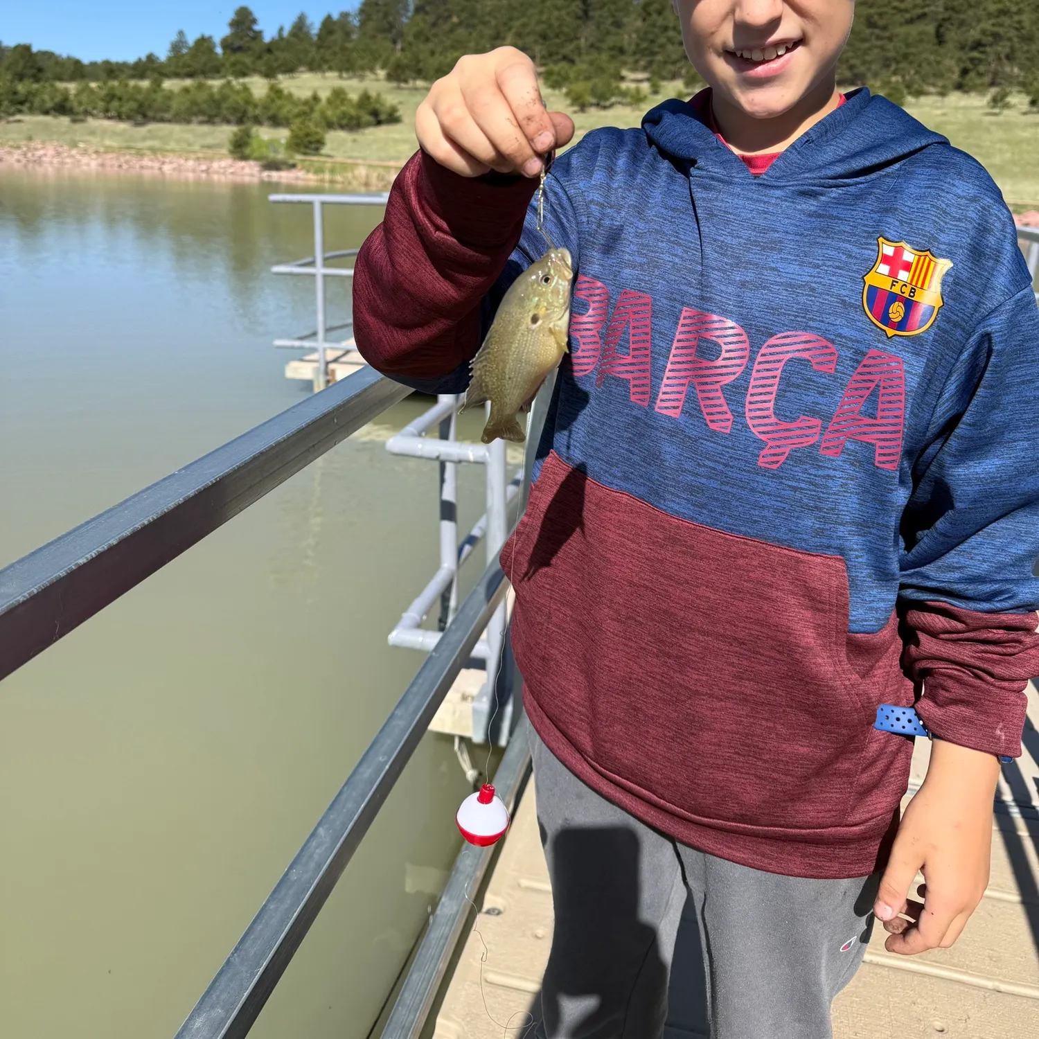 The most recent Wargill hybrid catches on Fishbrain