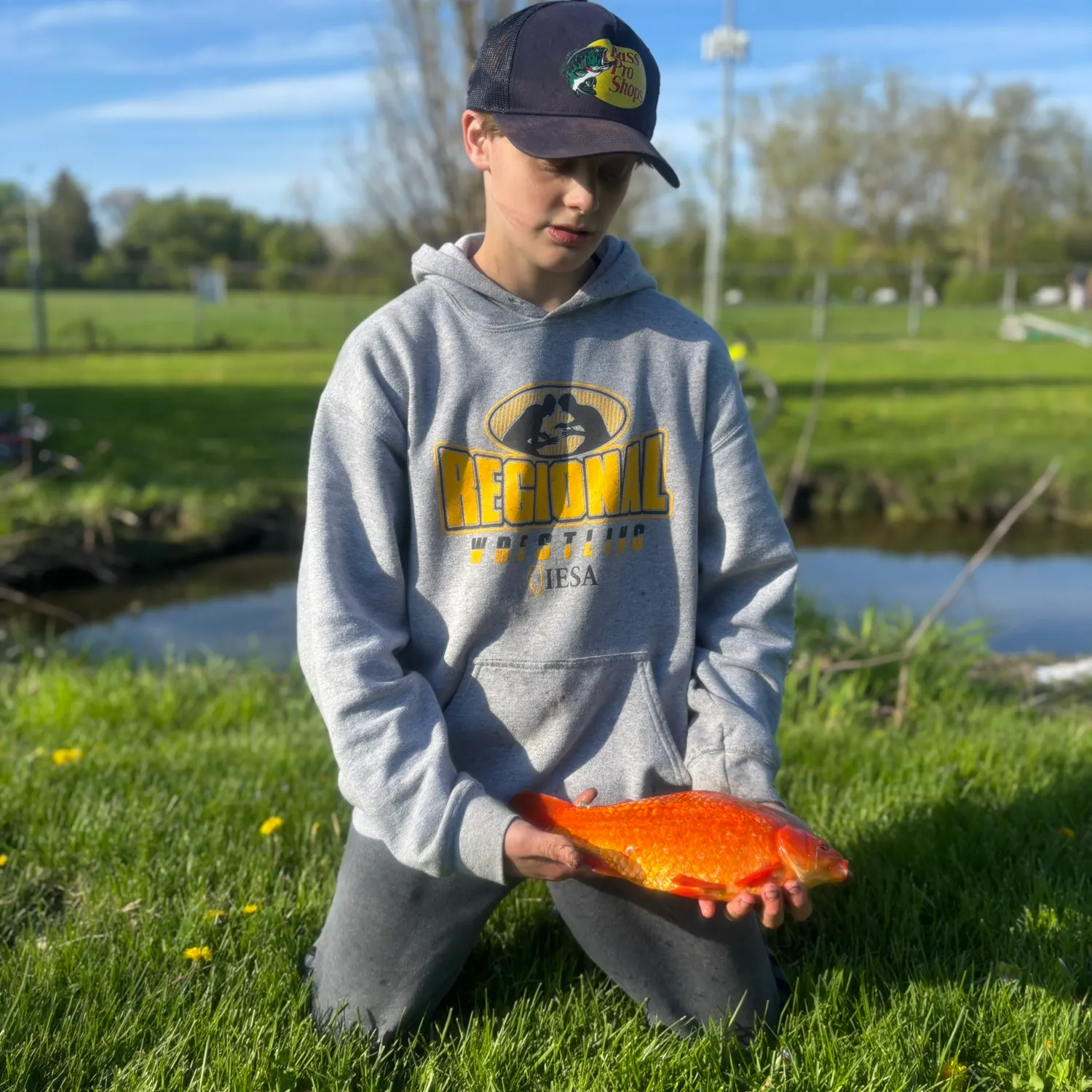 The most recent Goldfish catches on Fishbrain