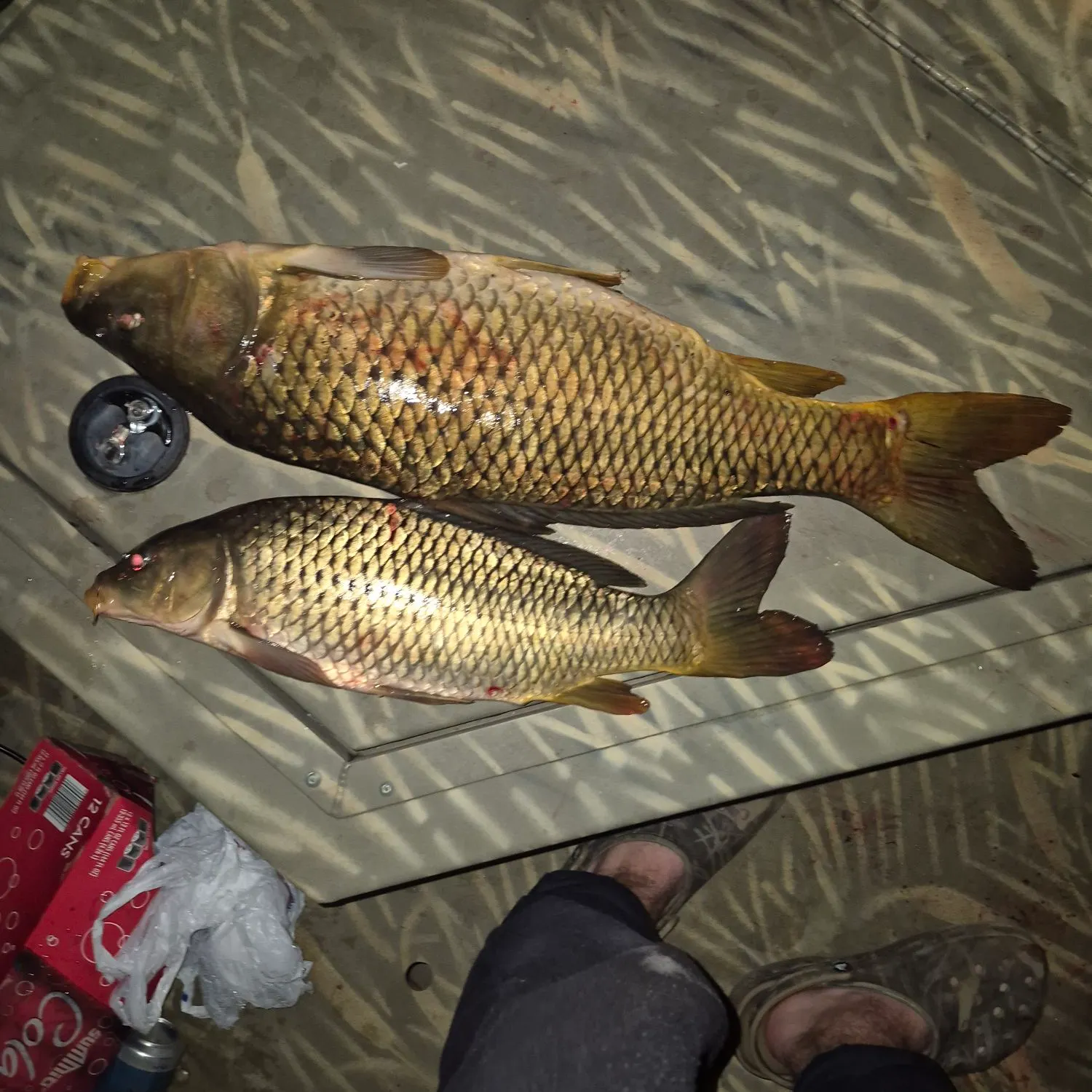 recently logged catches