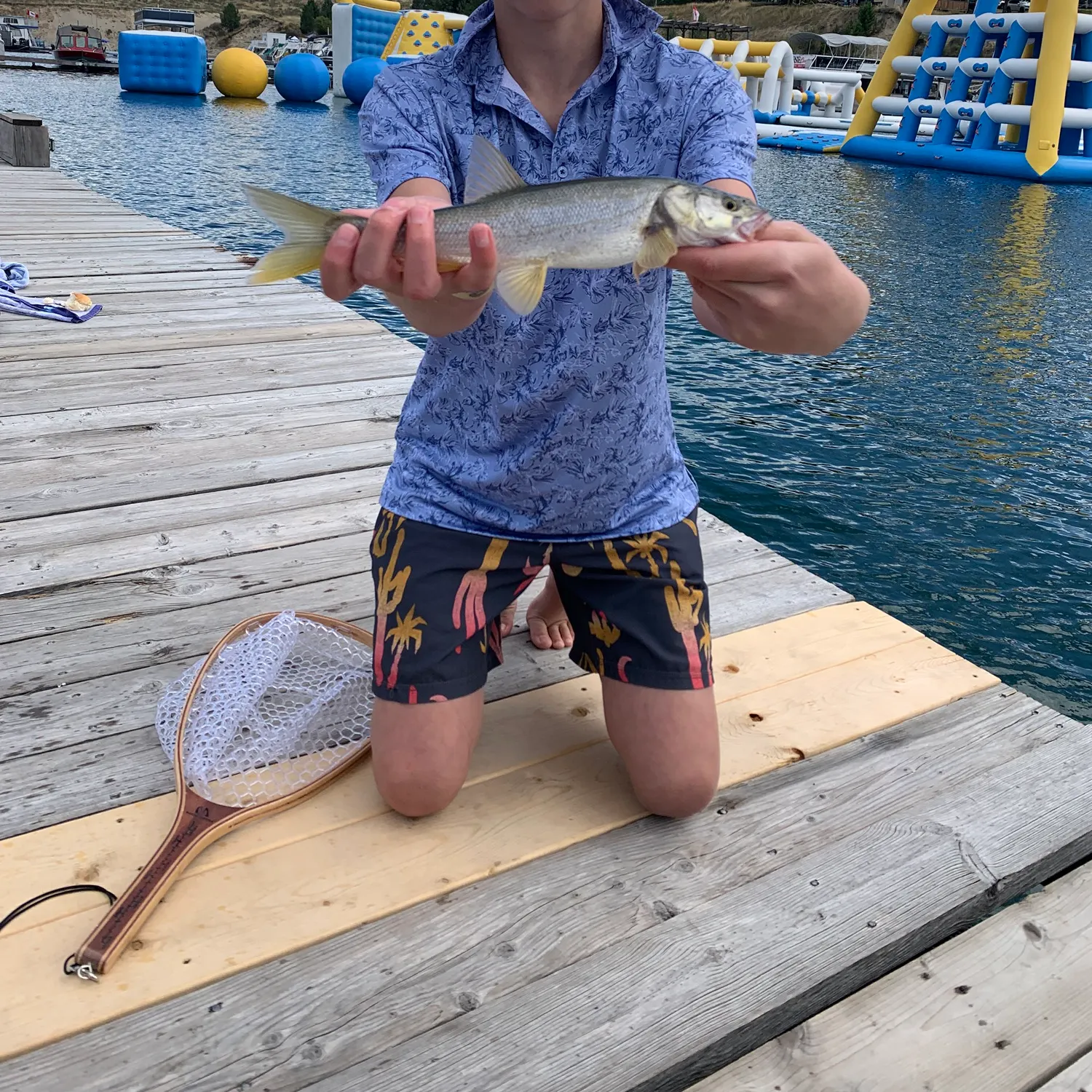 Northern pikeminnow caught on Fishbrain