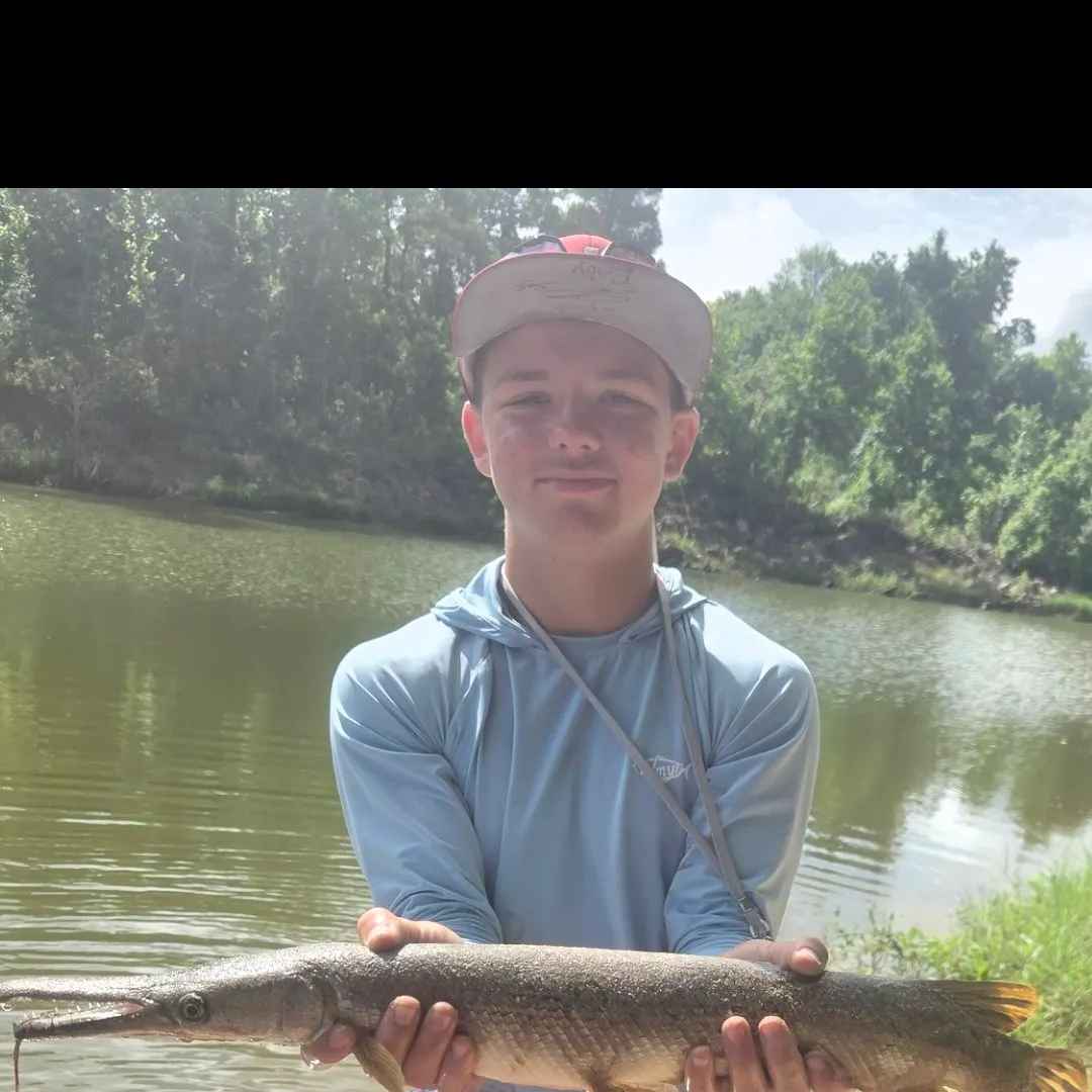 The most recent Shortnose gar catches on Fishbrain