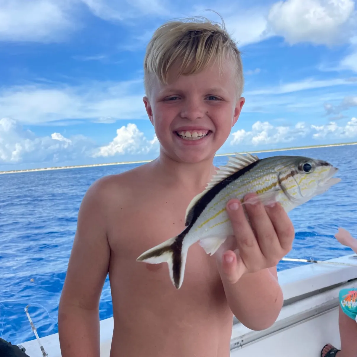 The most recent Black snapper catches on Fishbrain