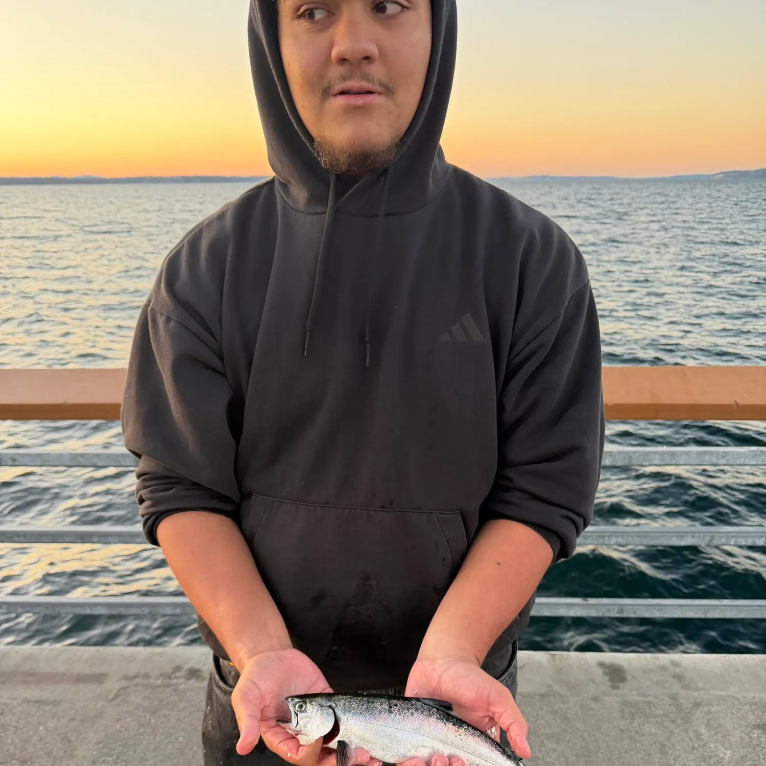 Coho salmon caught on Fishbrain