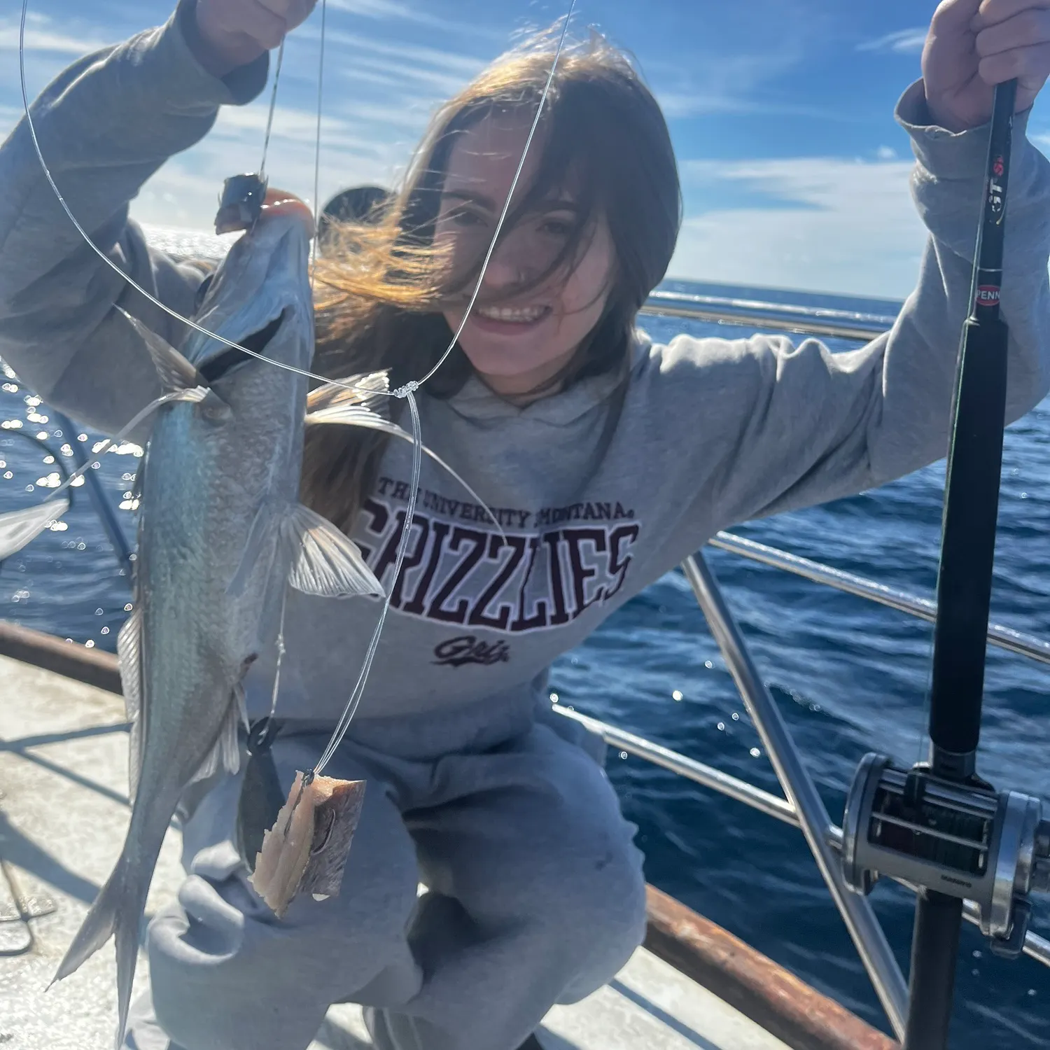 The most recent Jackass morwong catches on Fishbrain