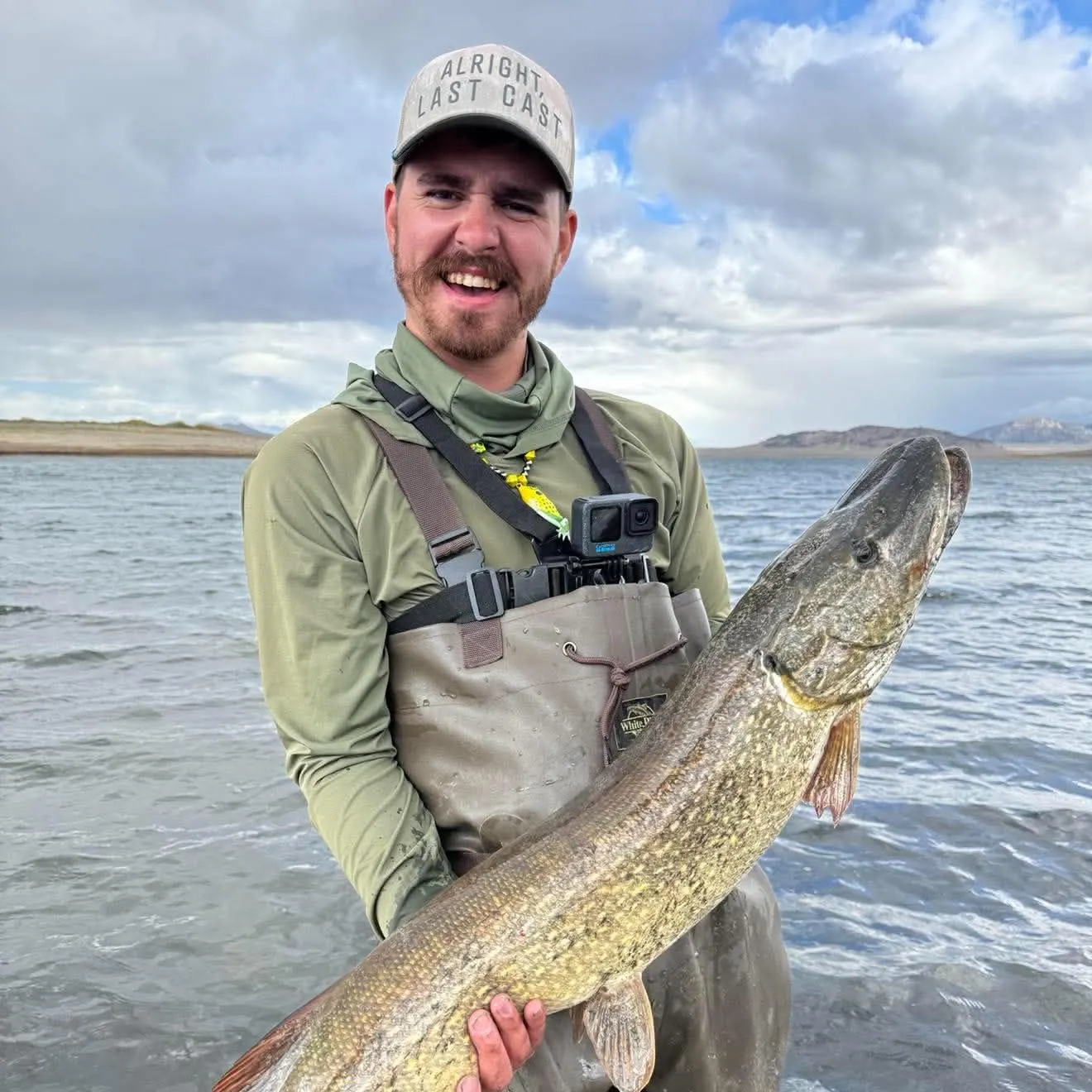 Northern pike caught on Fishbrain