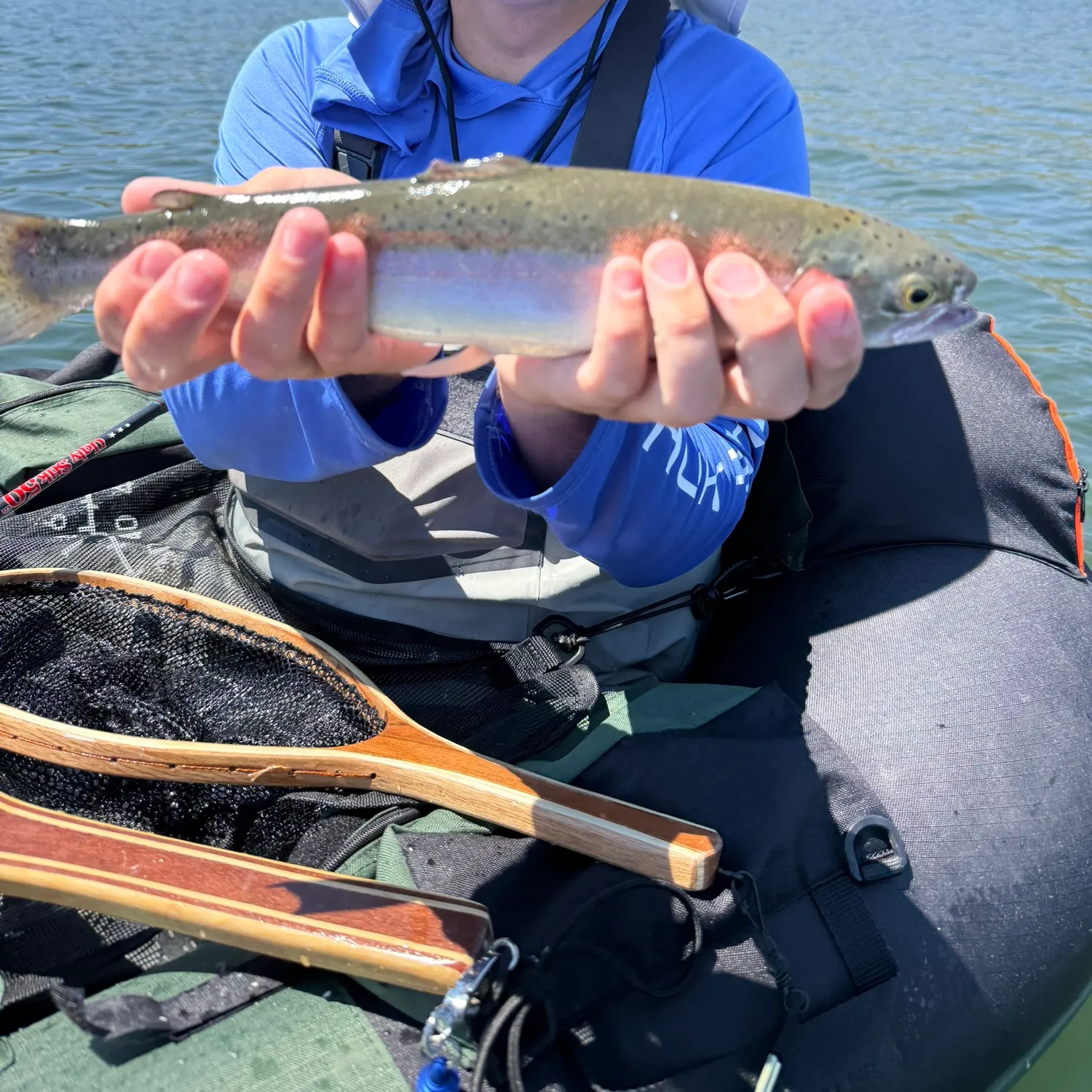 The most recent Cutbow catches on Fishbrain