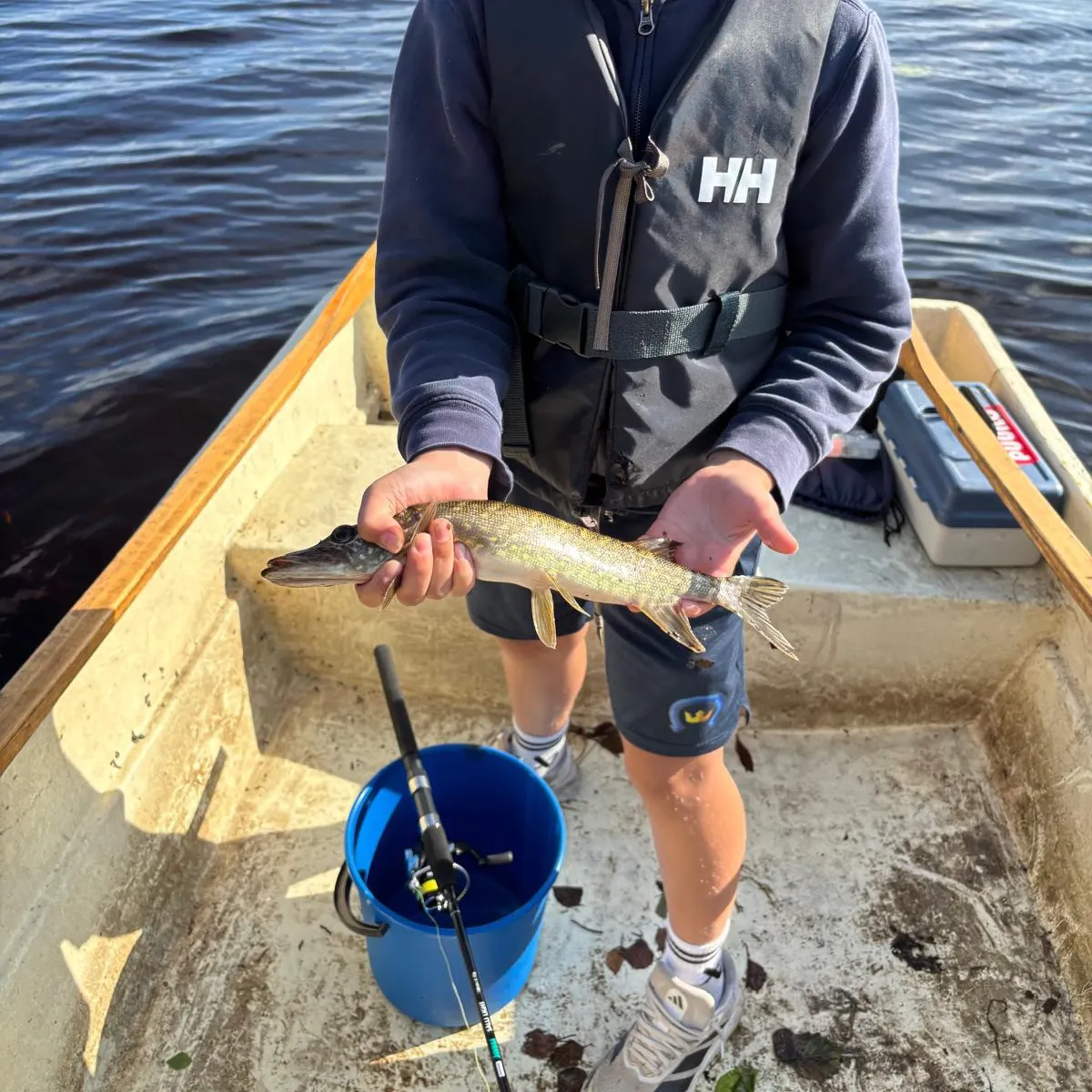 Northern pike caught on Fishbrain