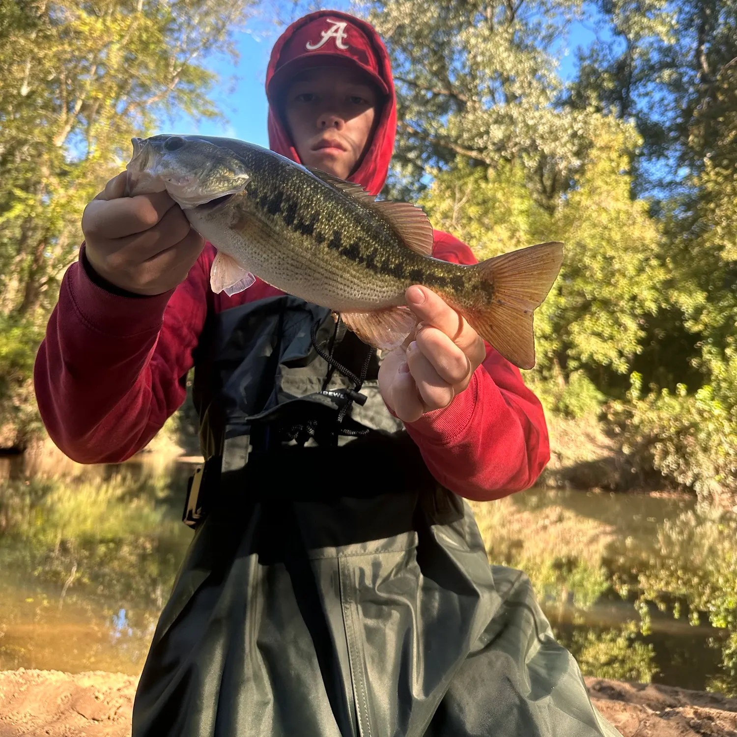 Spotted bass caught on Fishbrain