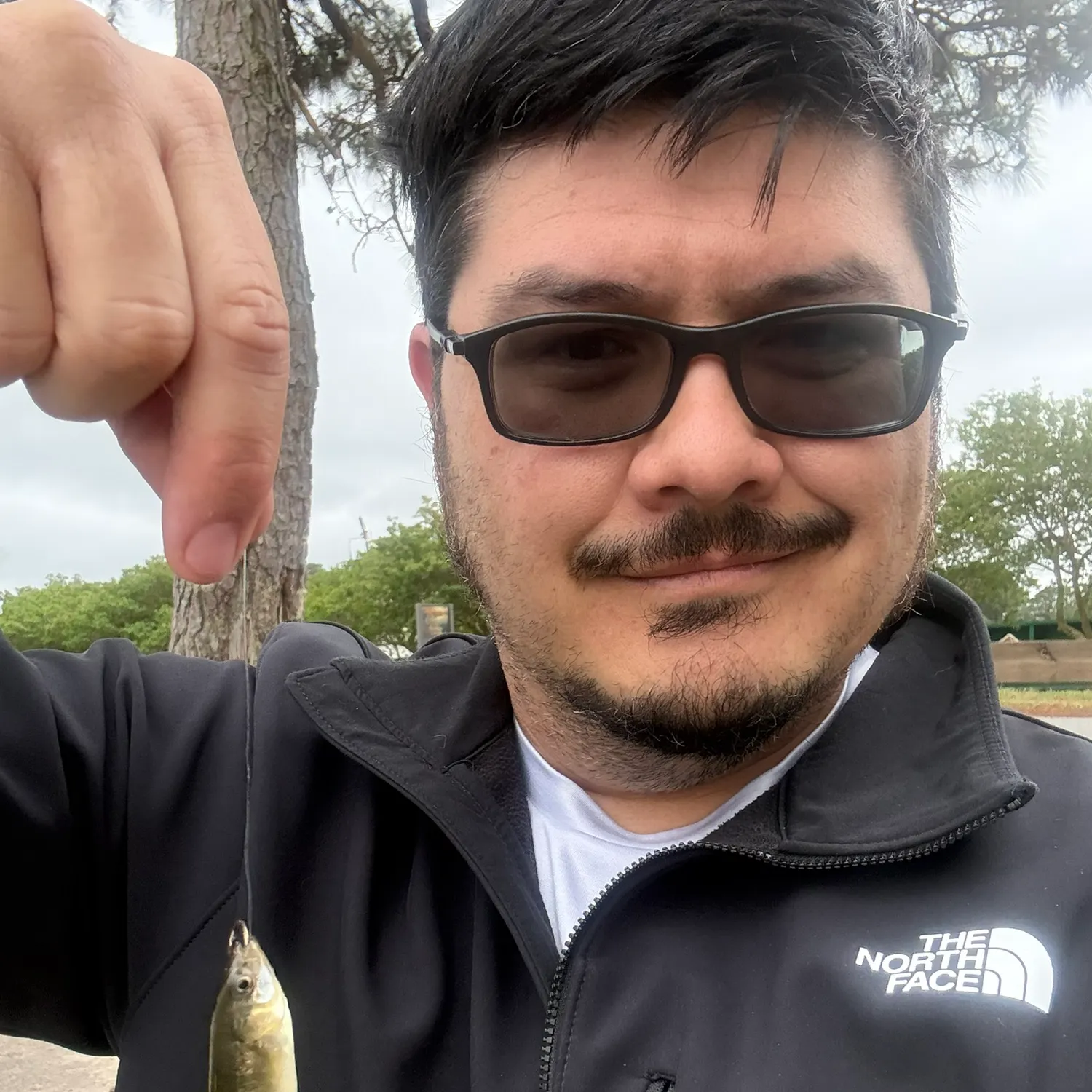 The most recent Mummichog catches on Fishbrain