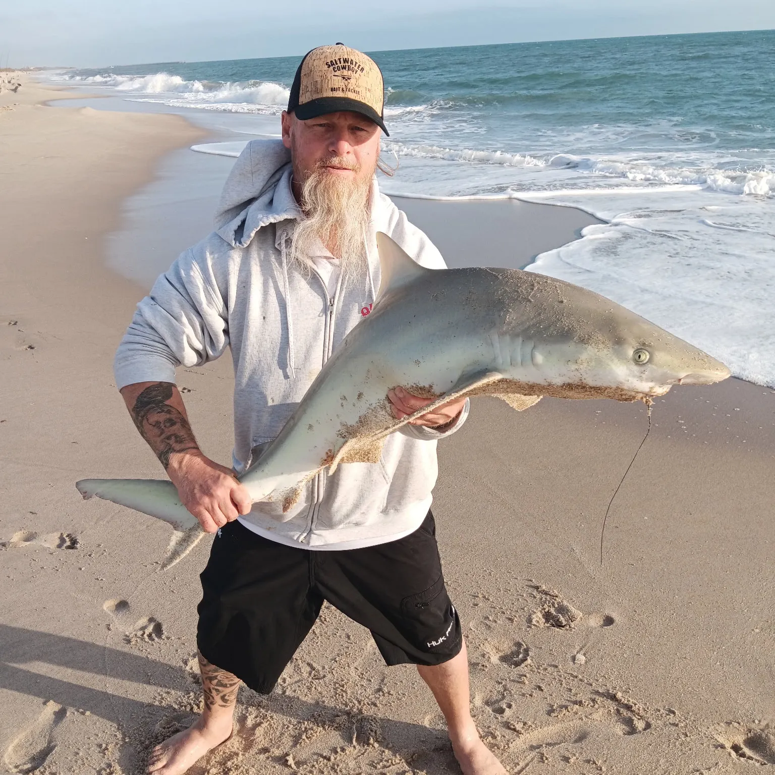 The most recent Blacktip shark catches on Fishbrain