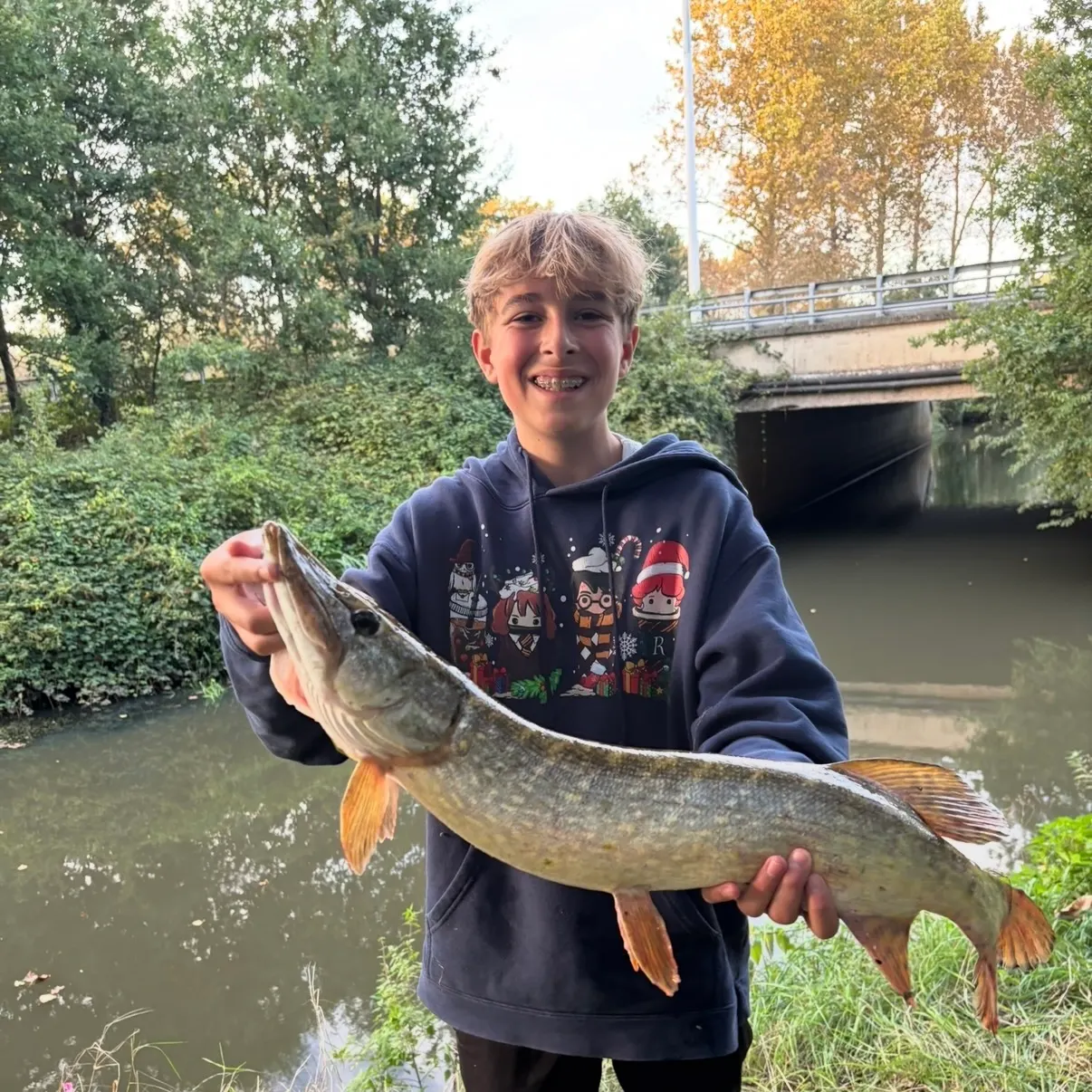 Northern pike caught on Fishbrain