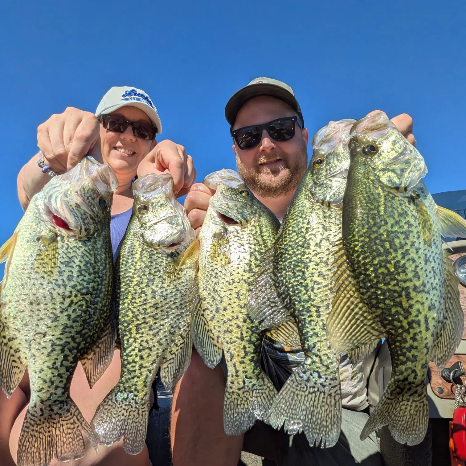 Black crappie caught on Fishbrain