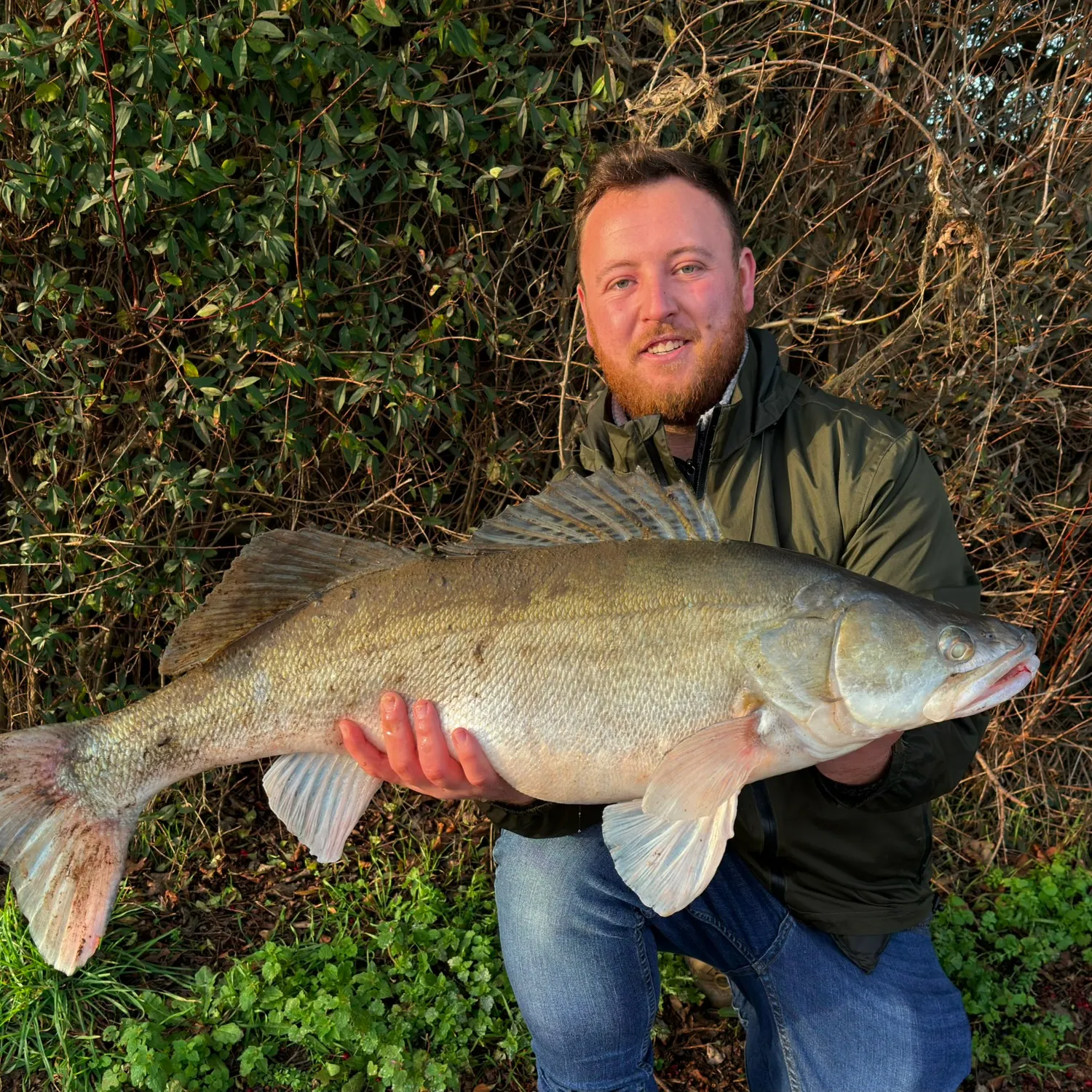 The most recent Zander catches on Fishbrain