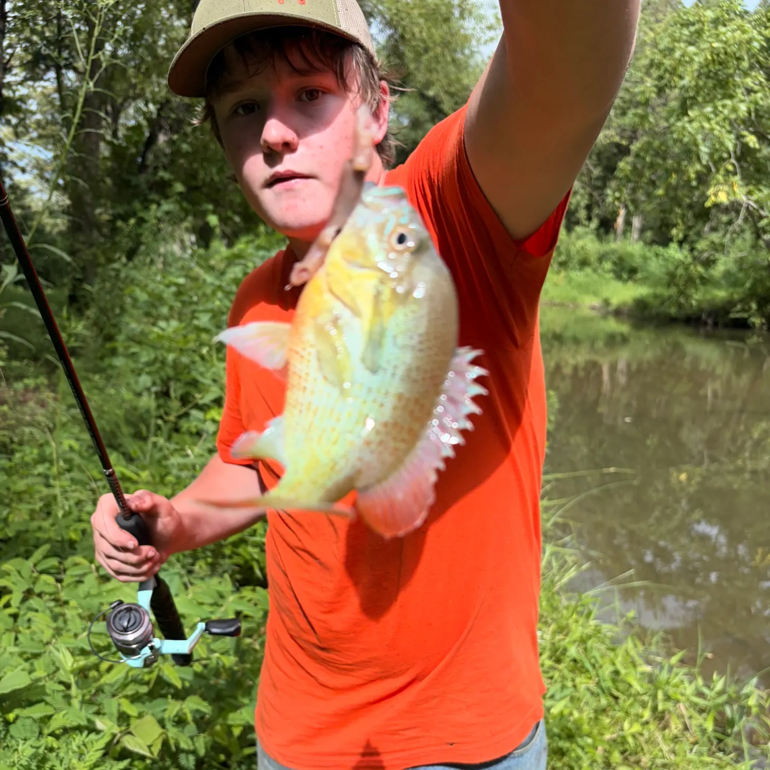 catch