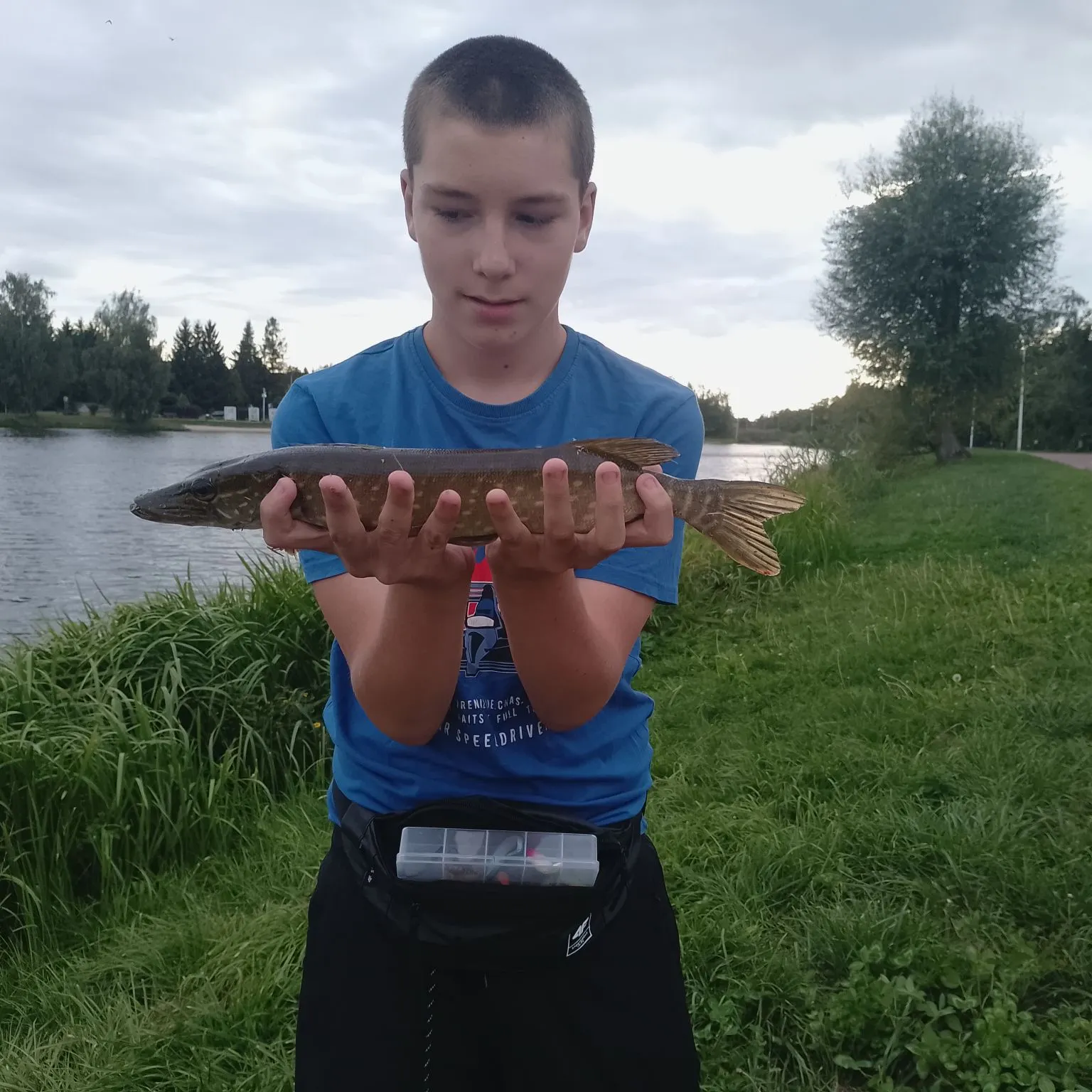 Northern pike caught on Fishbrain