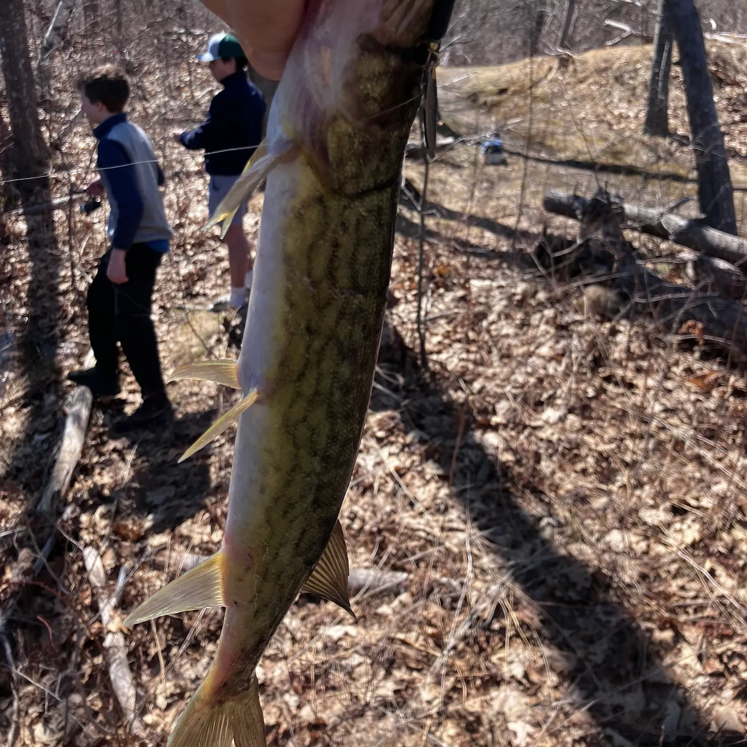 catch