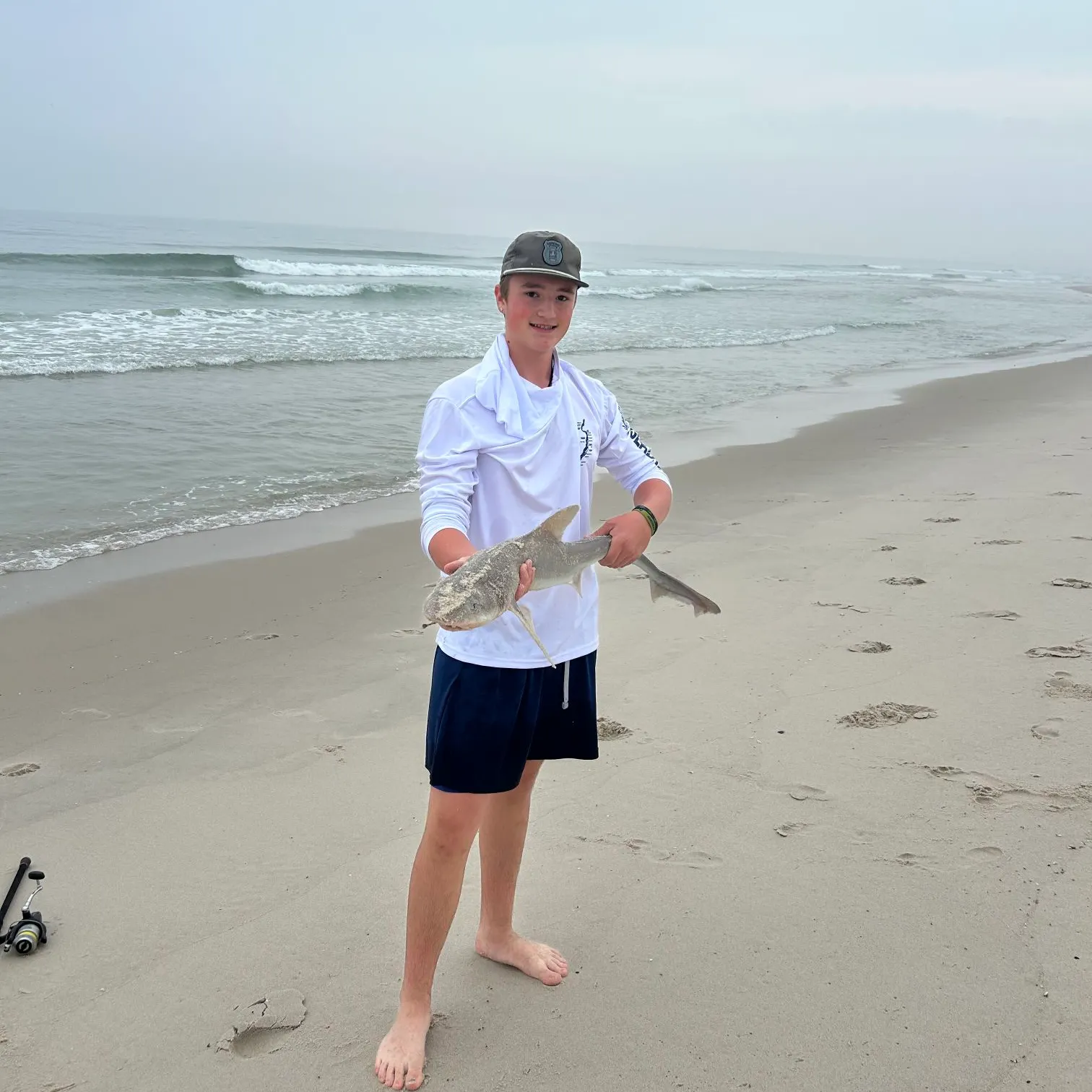 The most recent Common smooth-hound catches on Fishbrain