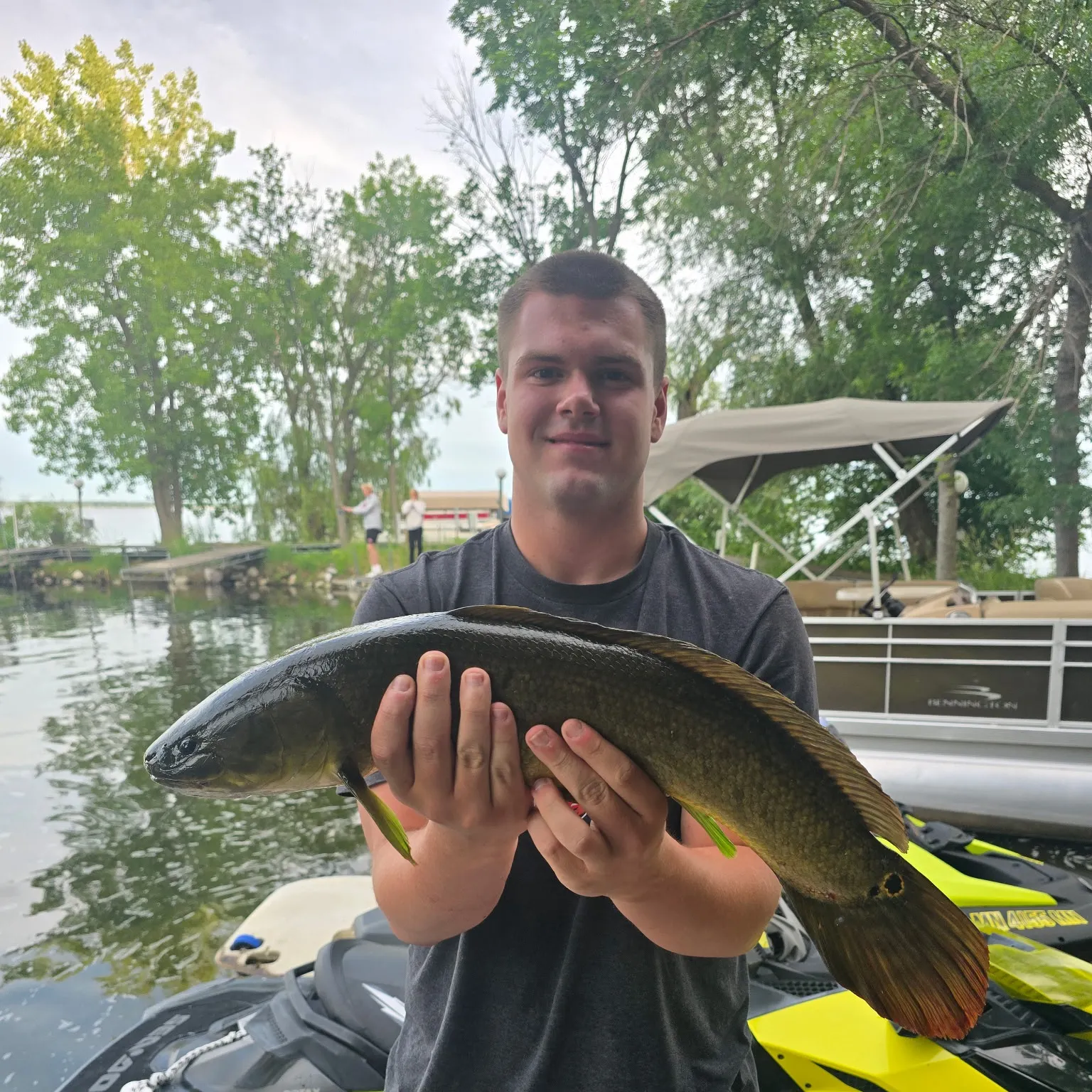 The most recent Eyetail bowfin catches on Fishbrain