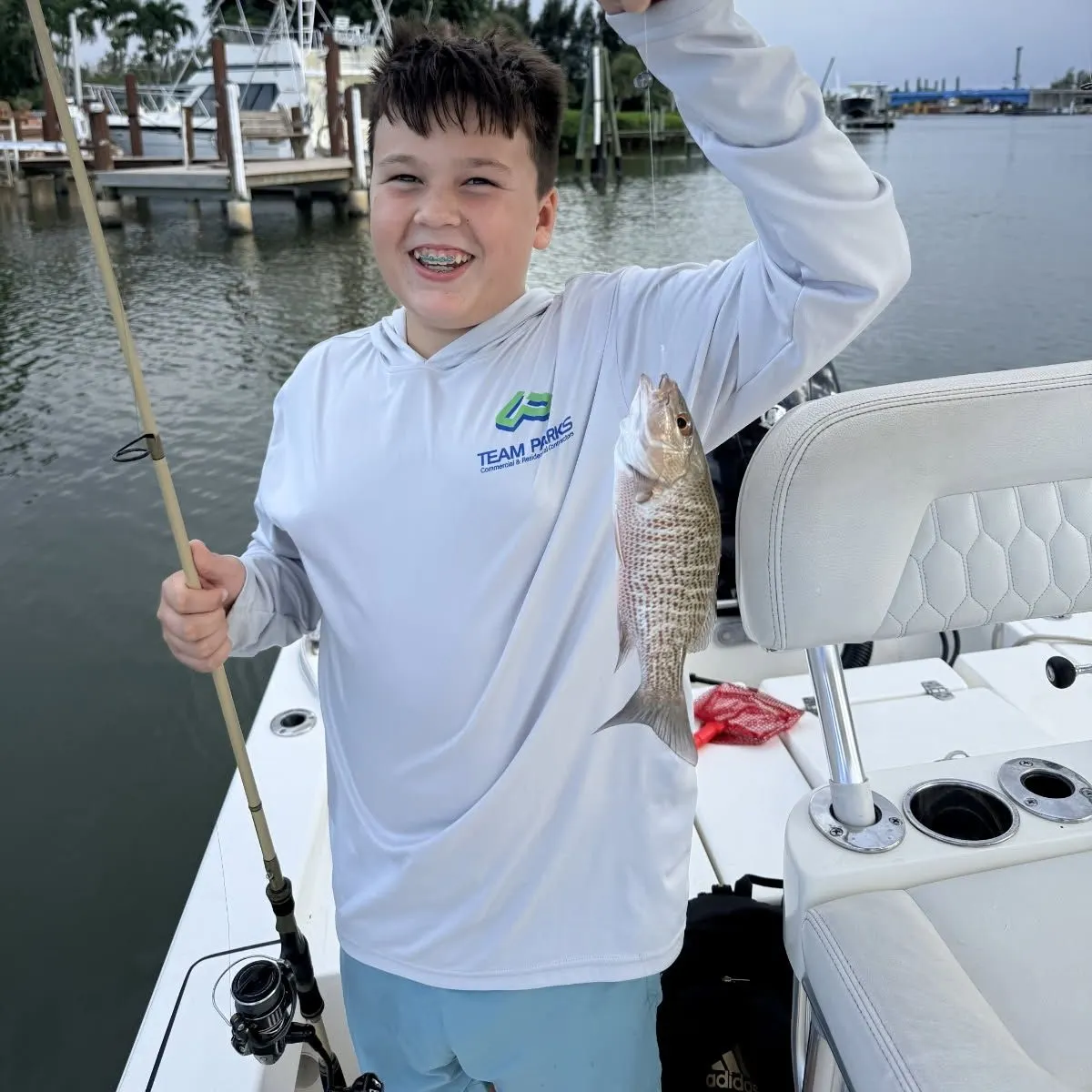 Mangrove snapper caught on Fishbrain