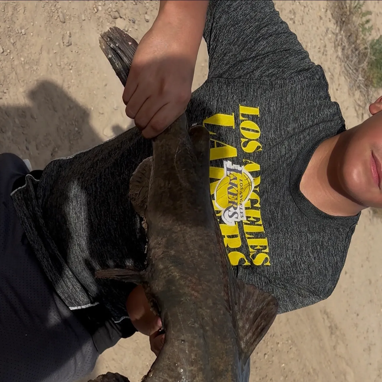 Flathead catfish caught on Fishbrain