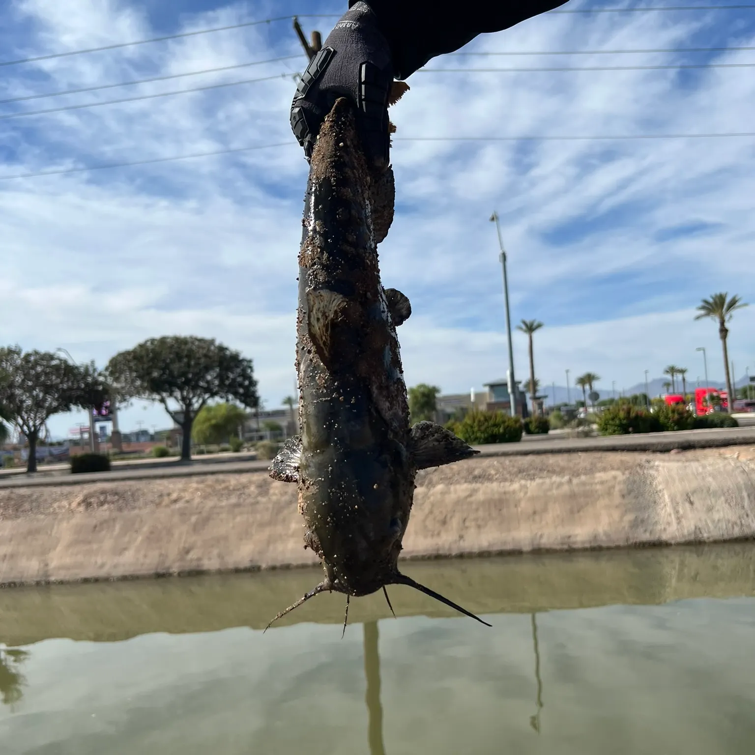 catch
