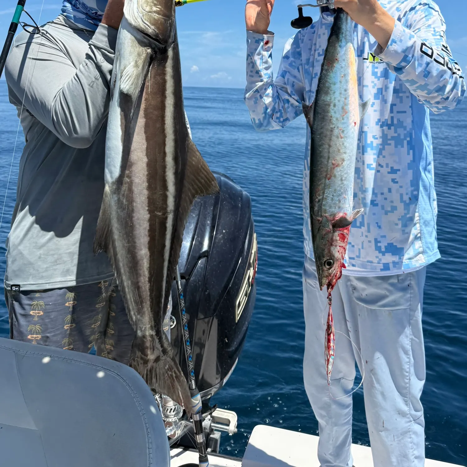 The most recent King mackerel catches on Fishbrain