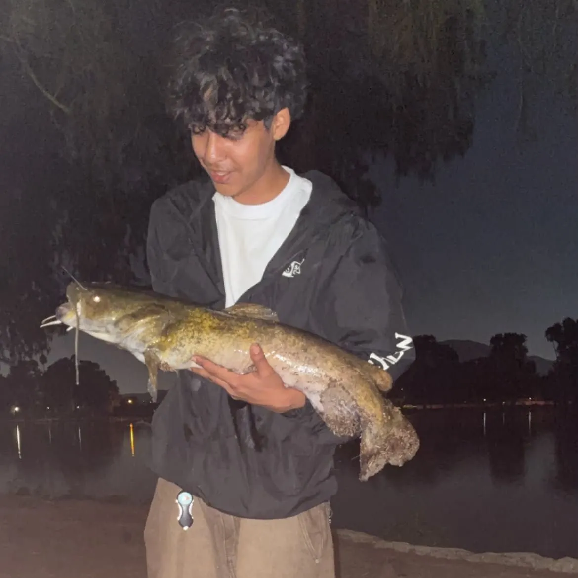 Flathead catfish caught on Fishbrain