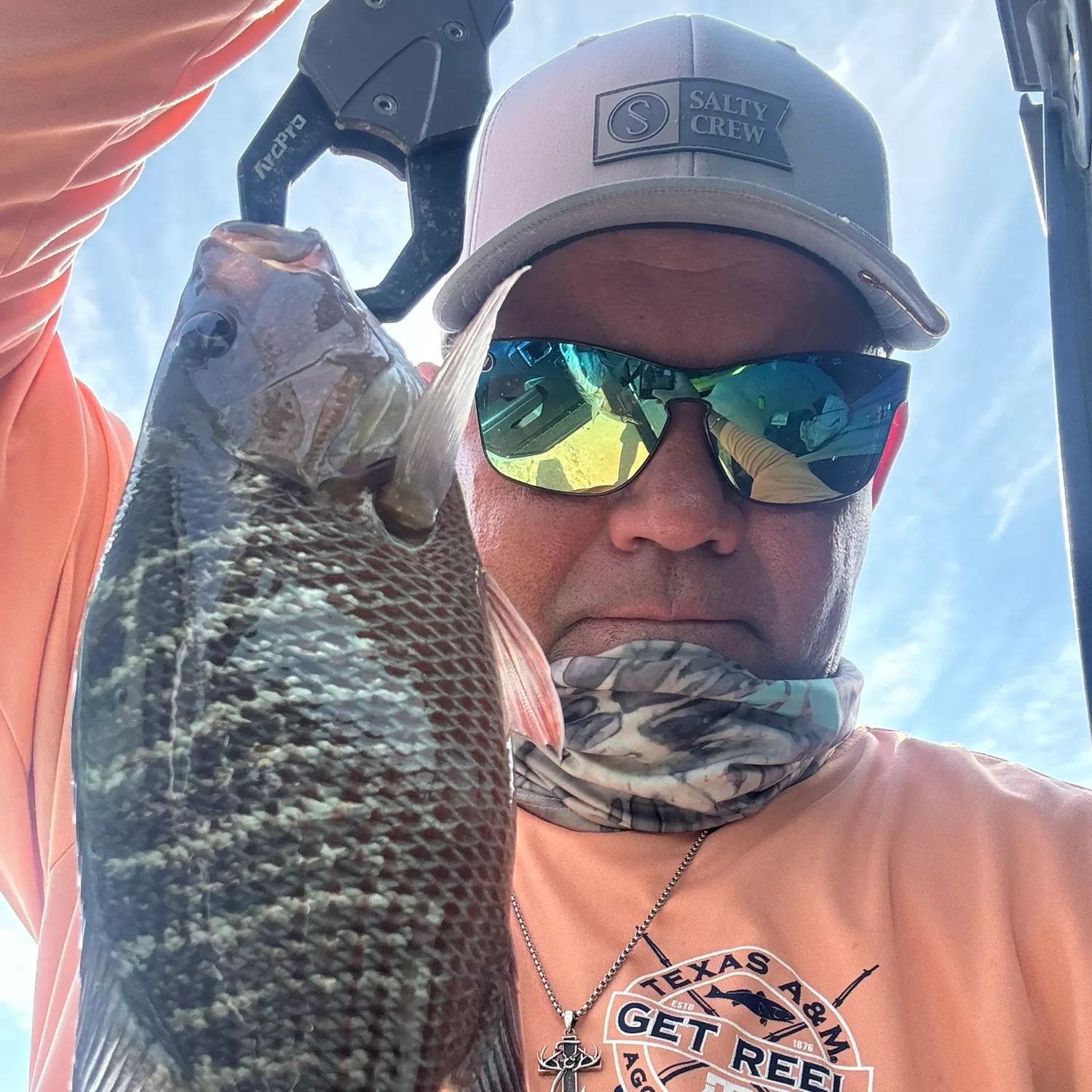 Mangrove snapper caught on Fishbrain