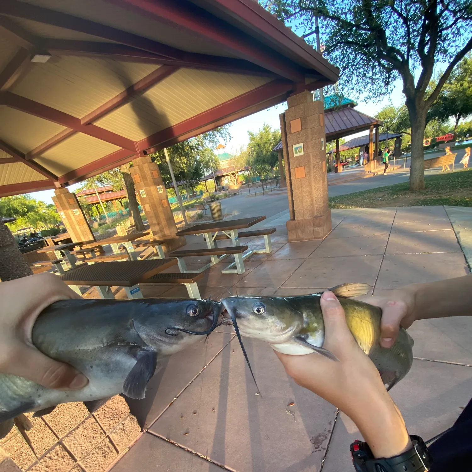 catch