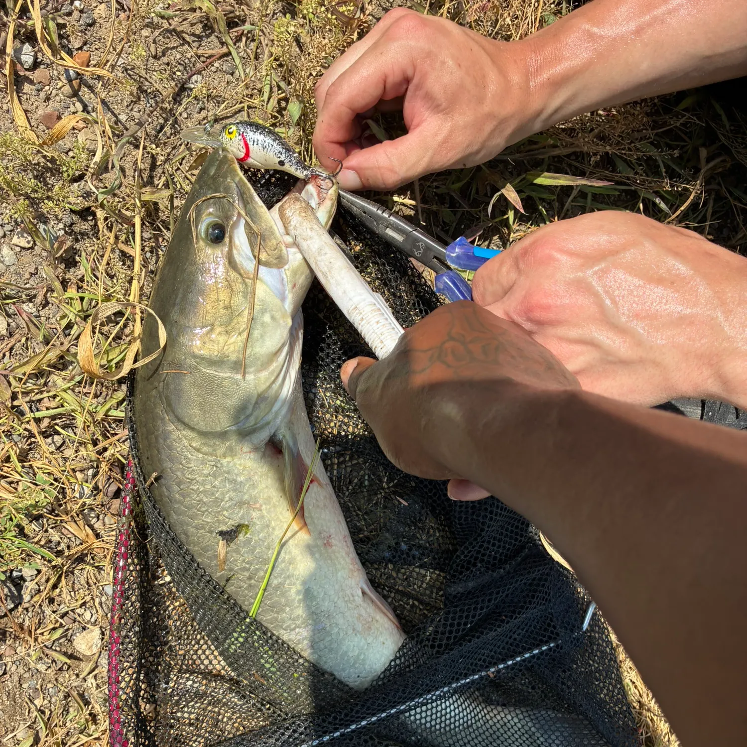 catch