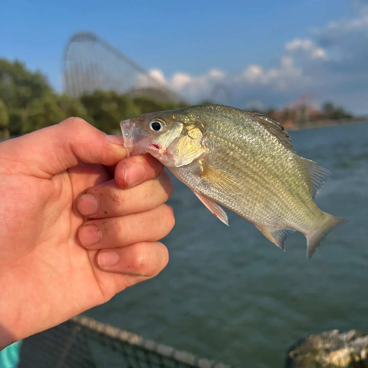 catch