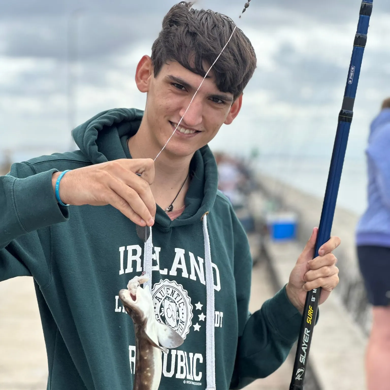 The most recent Brown shyshark catches on Fishbrain