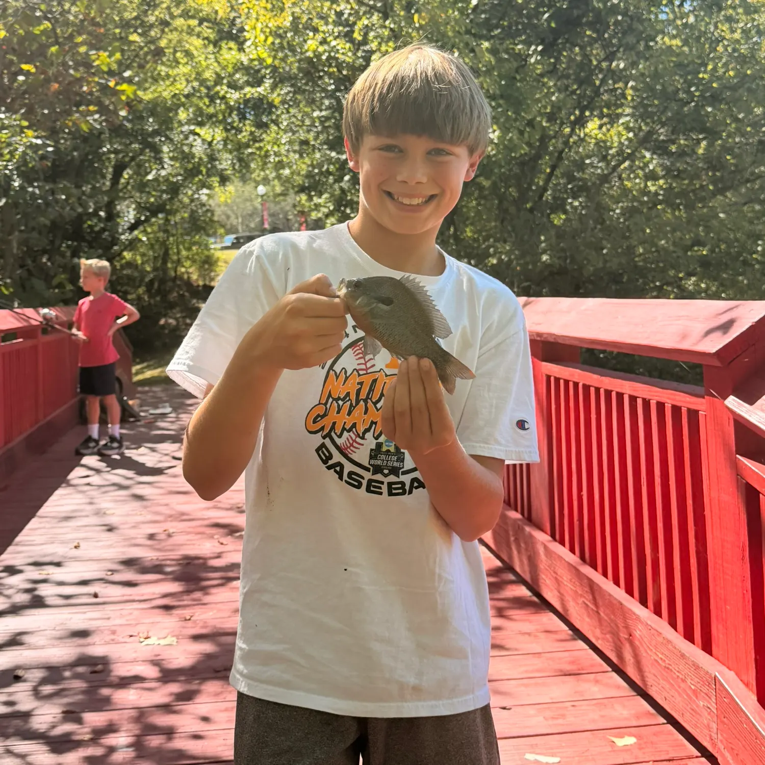 Redbreast sunfish caught on Fishbrain