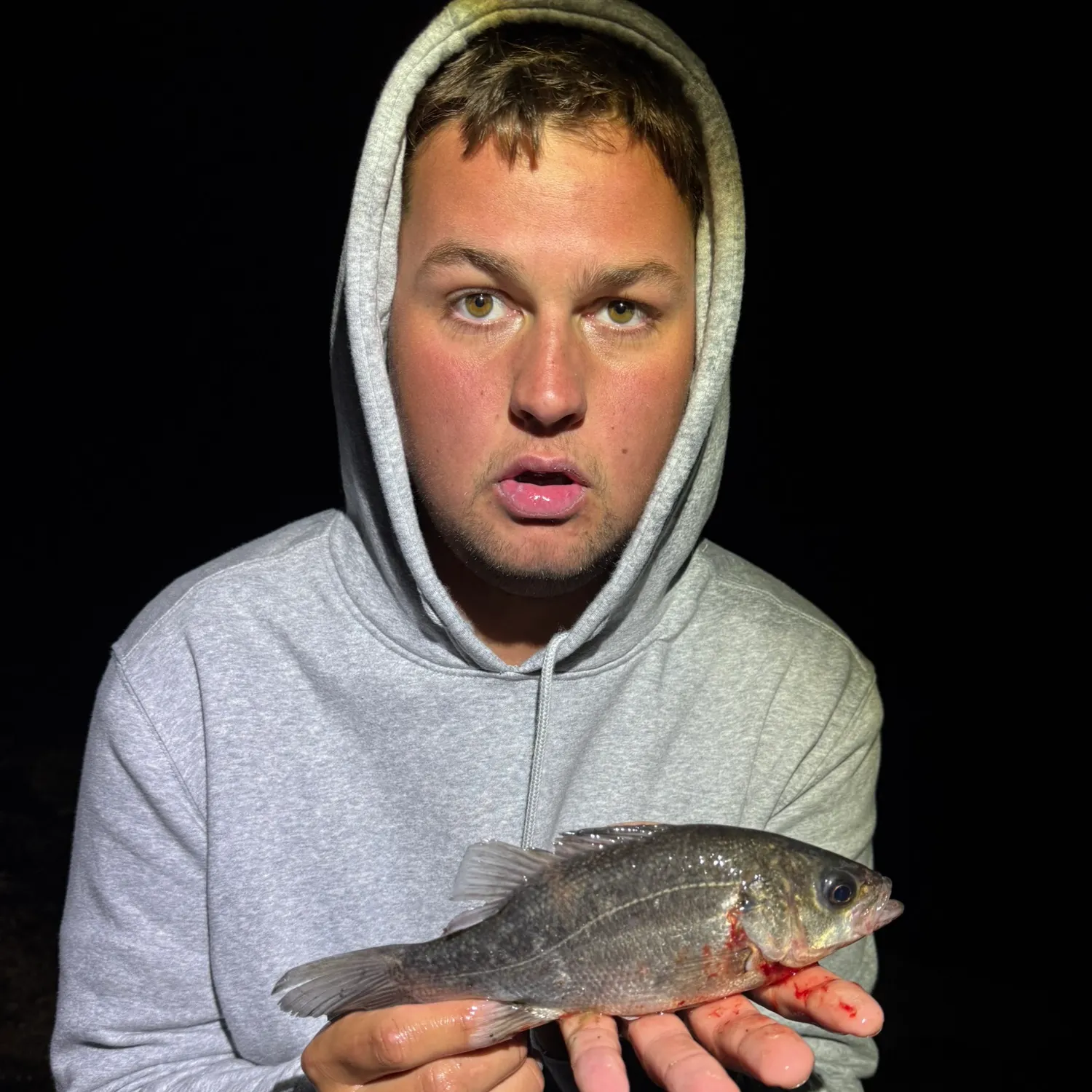 The most recent Estuary perch catches on Fishbrain