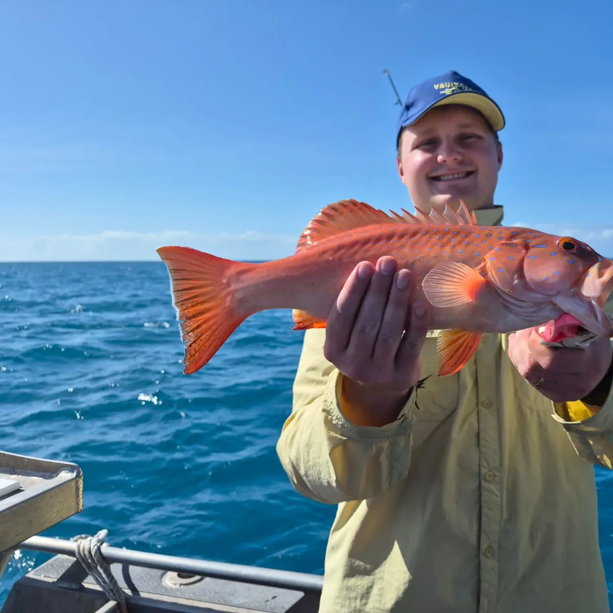 The most recent Spotted coralgrouper catches on Fishbrain