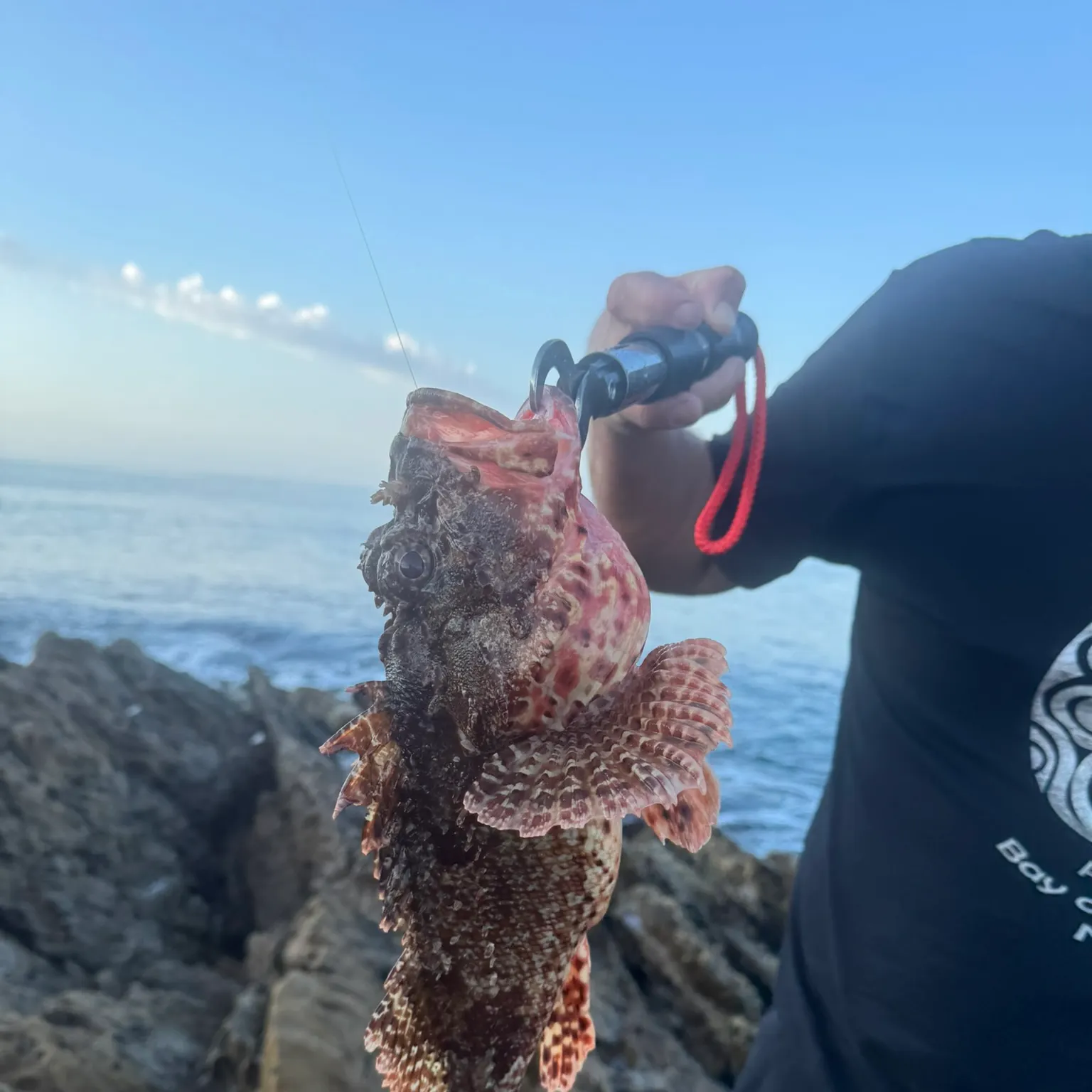 The most recent Eastern red scorpionfish catches on Fishbrain