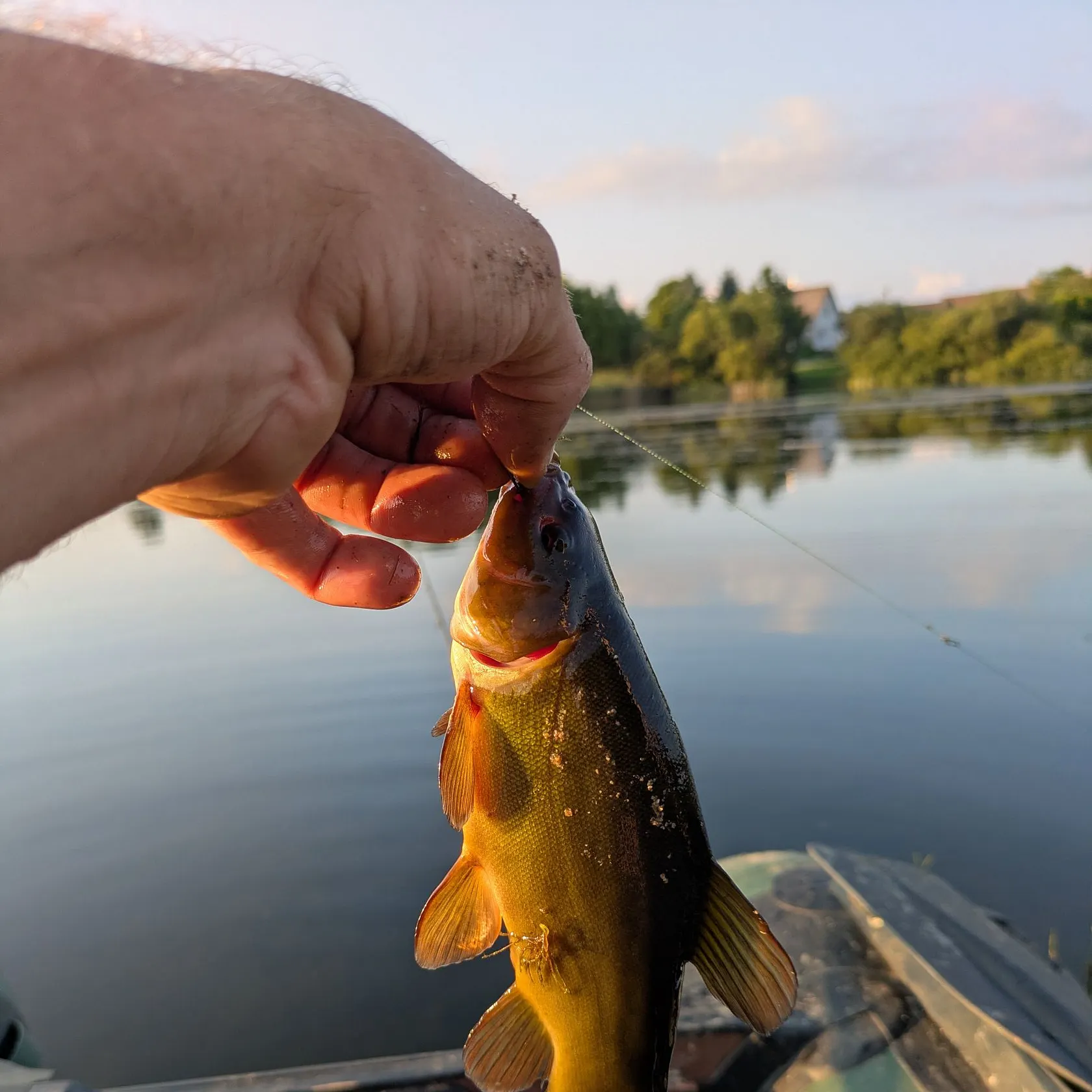 catch