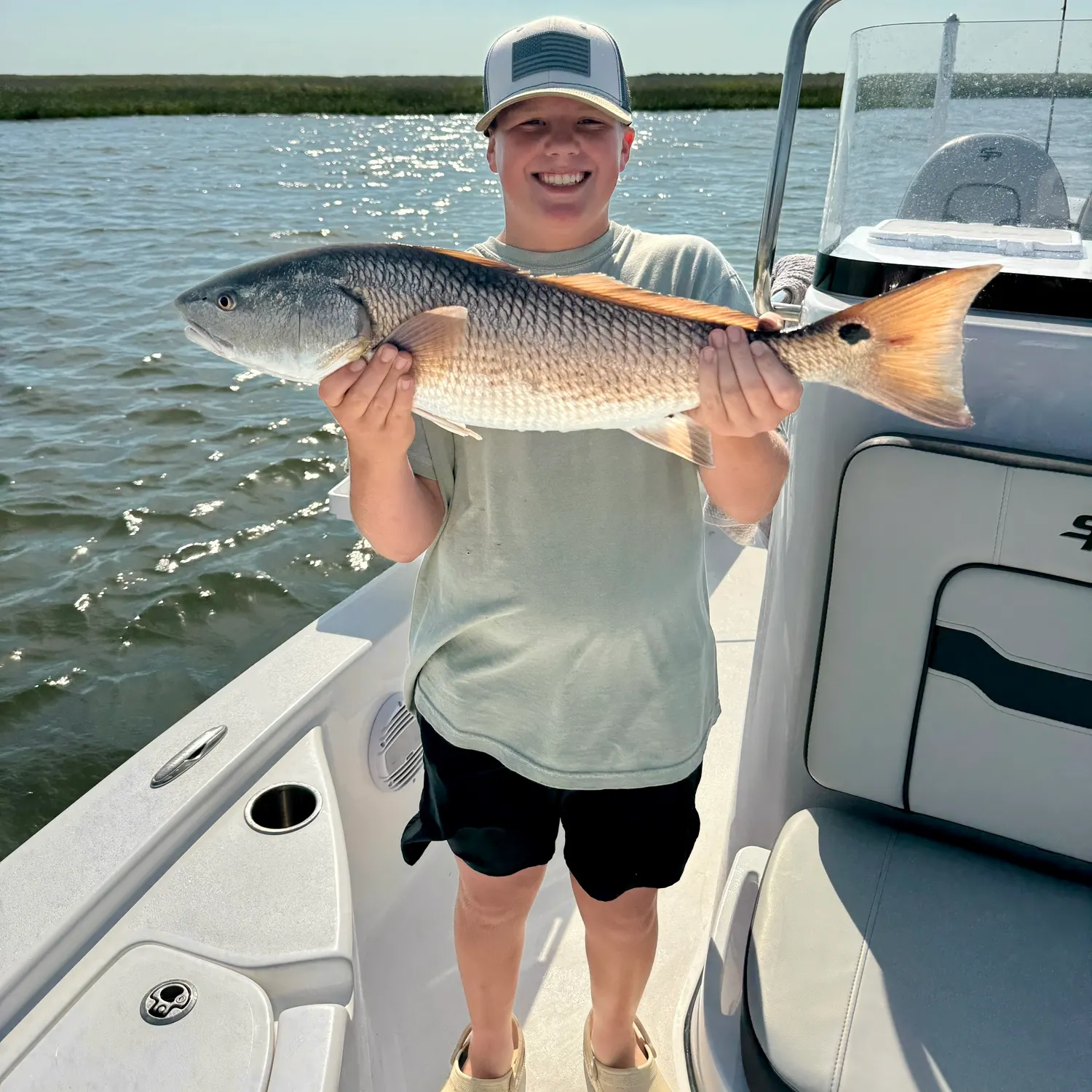 The most recent Red drum catches on Fishbrain