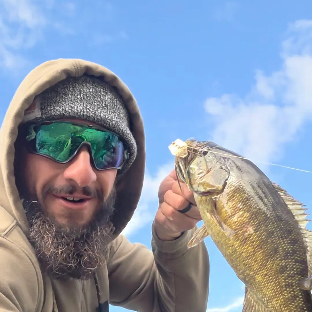 Smallmouth bass caught on Fishbrain