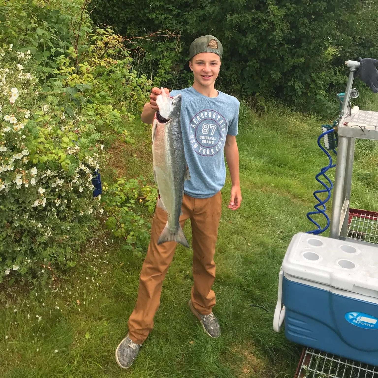 The most recent Sockeye salmon catches on Fishbrain