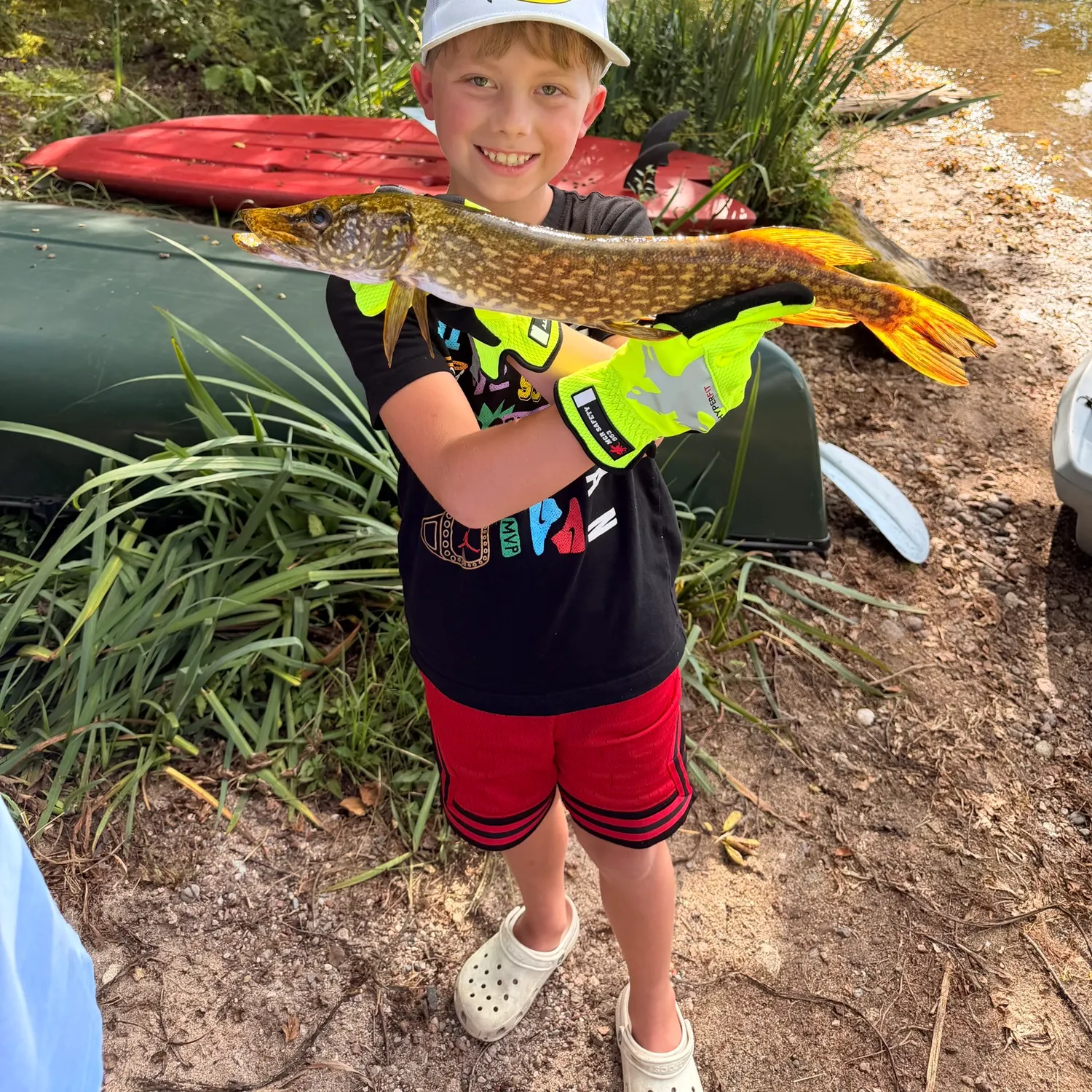 Northern pike caught on Fishbrain