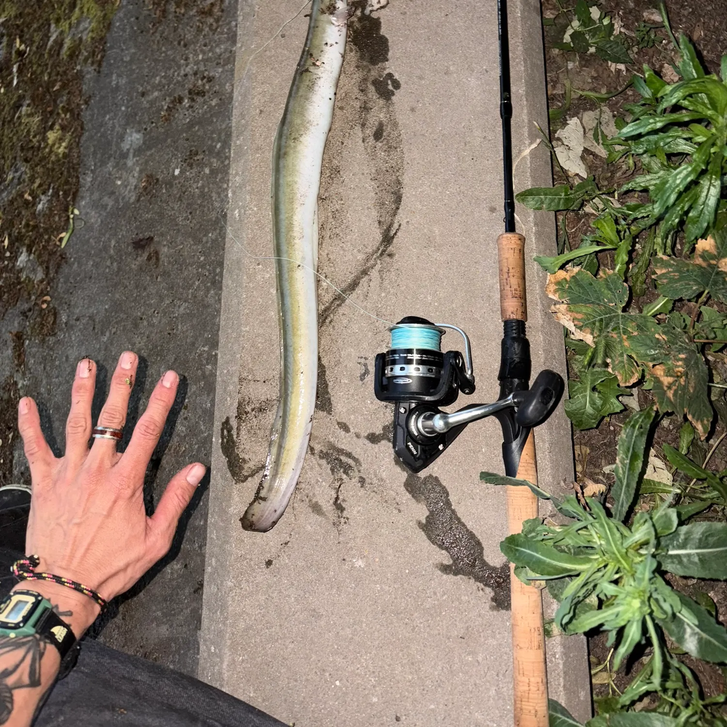 catch