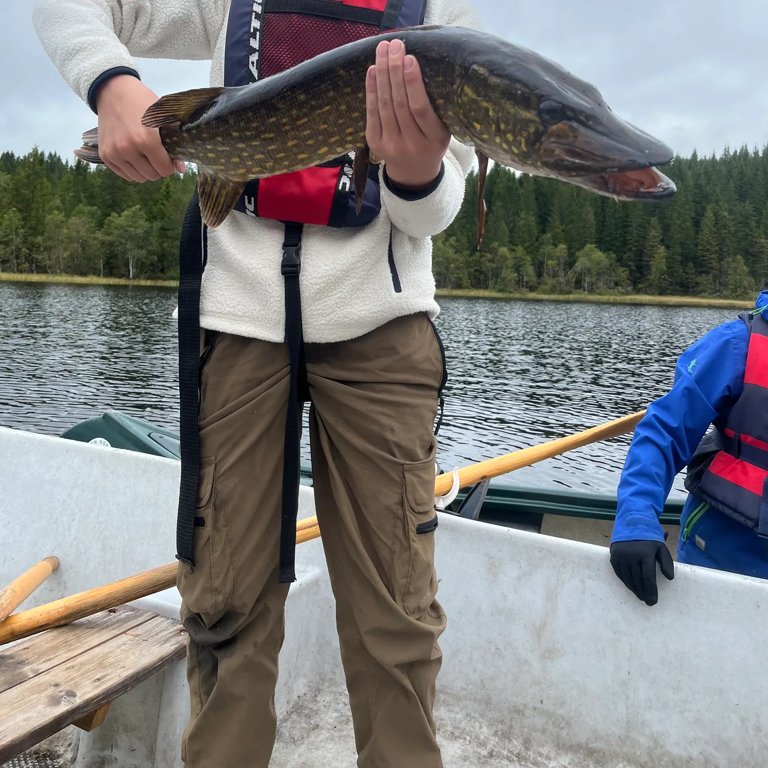 Northern pike caught on Fishbrain