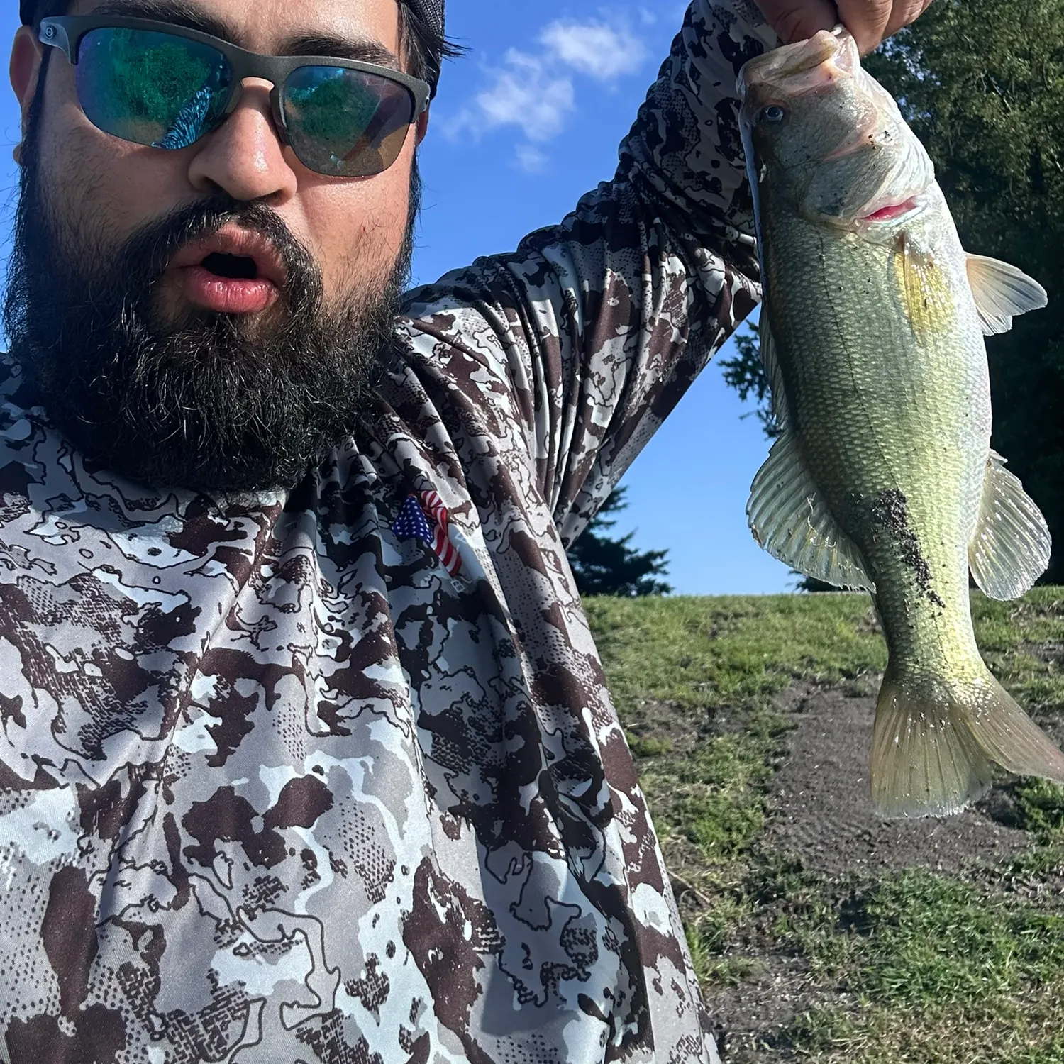 The most recent Largemouth bass catches on Fishbrain