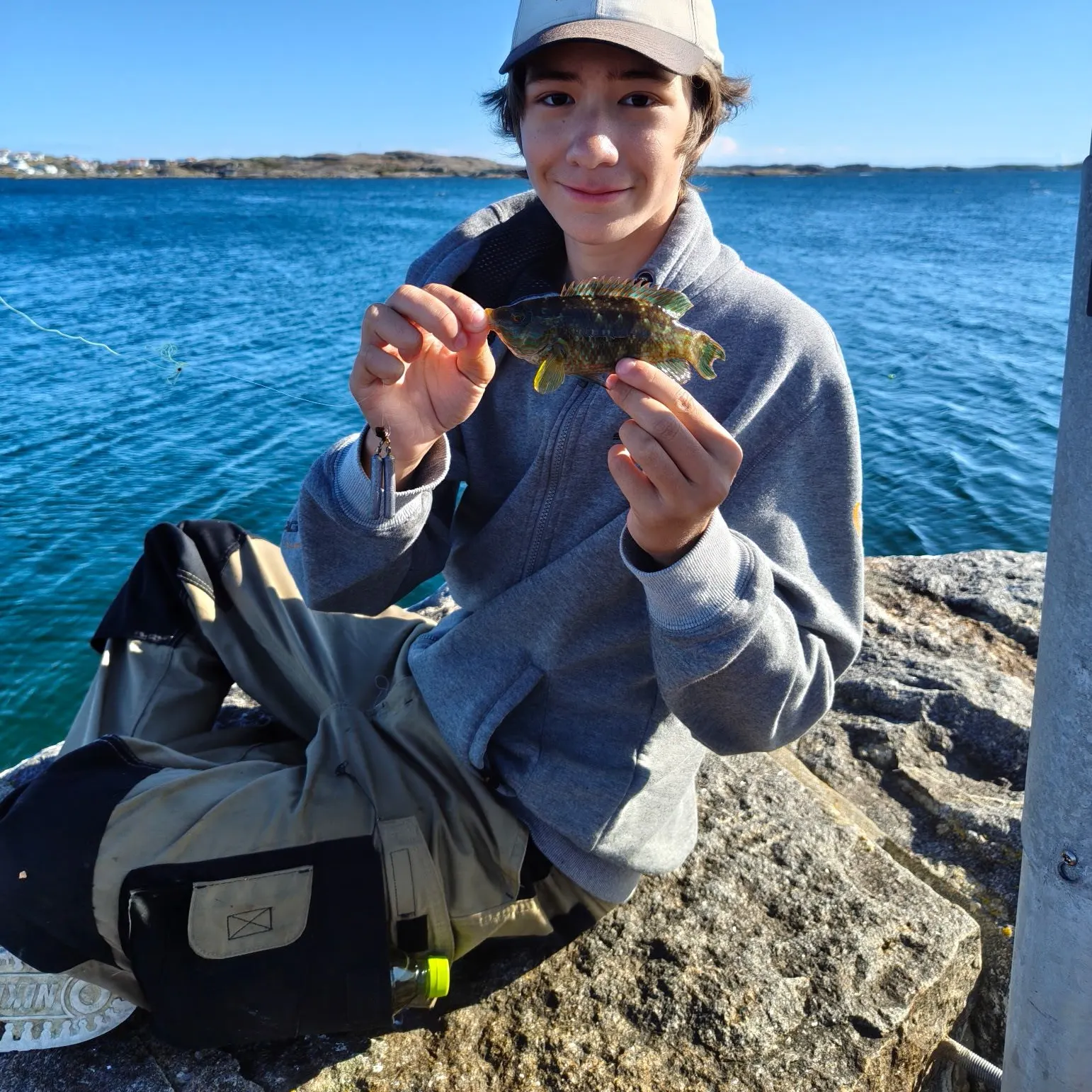 Corkwing wrasse caught on Fishbrain